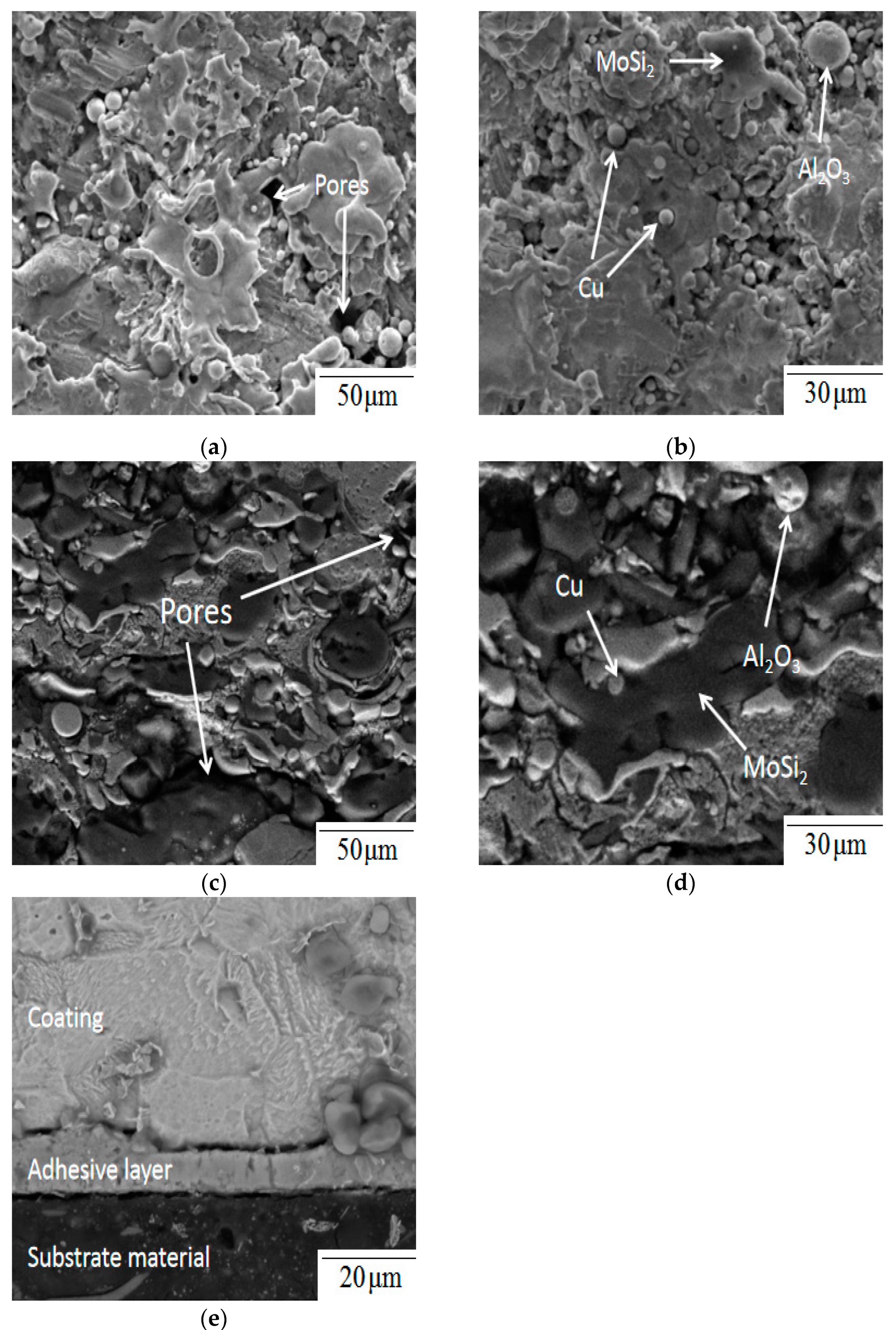 Coatings 11 01029 g002