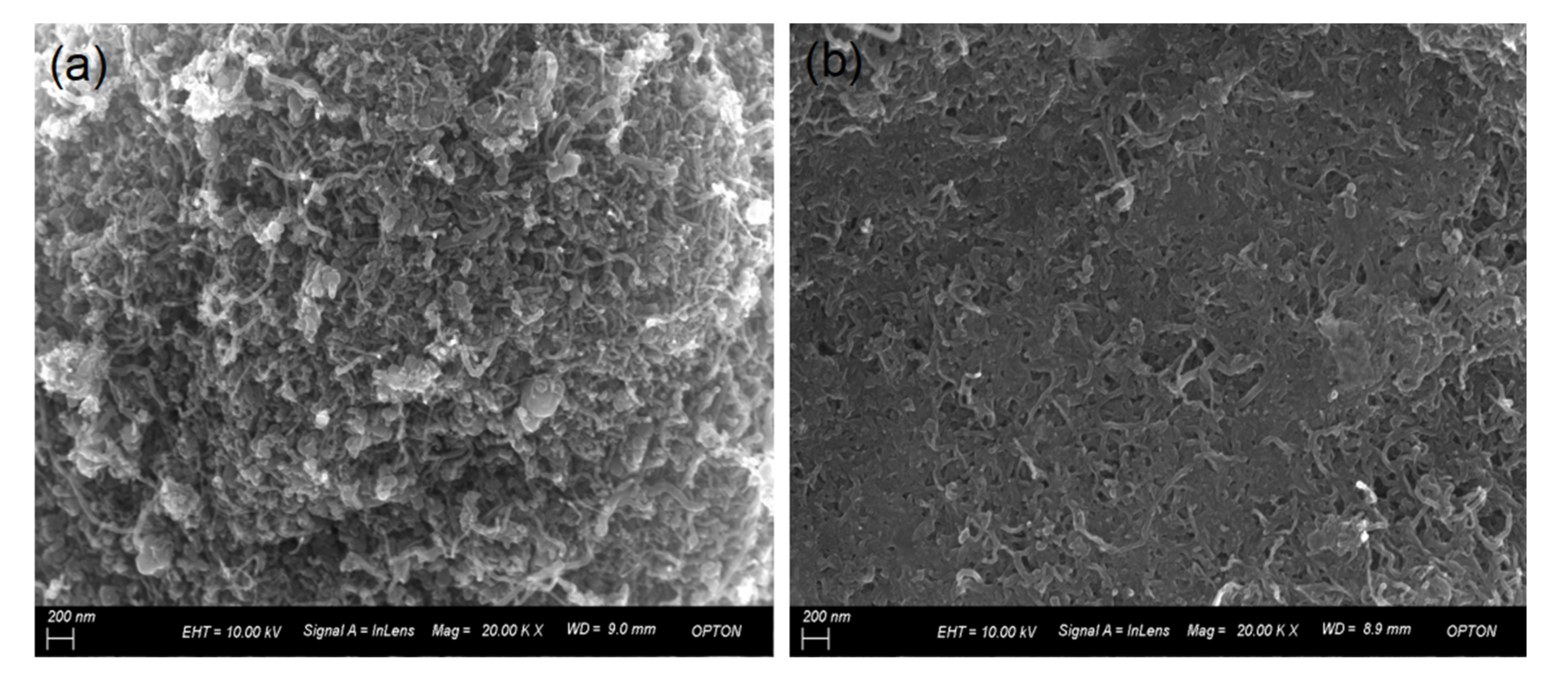 Coatings 11 01030 g002