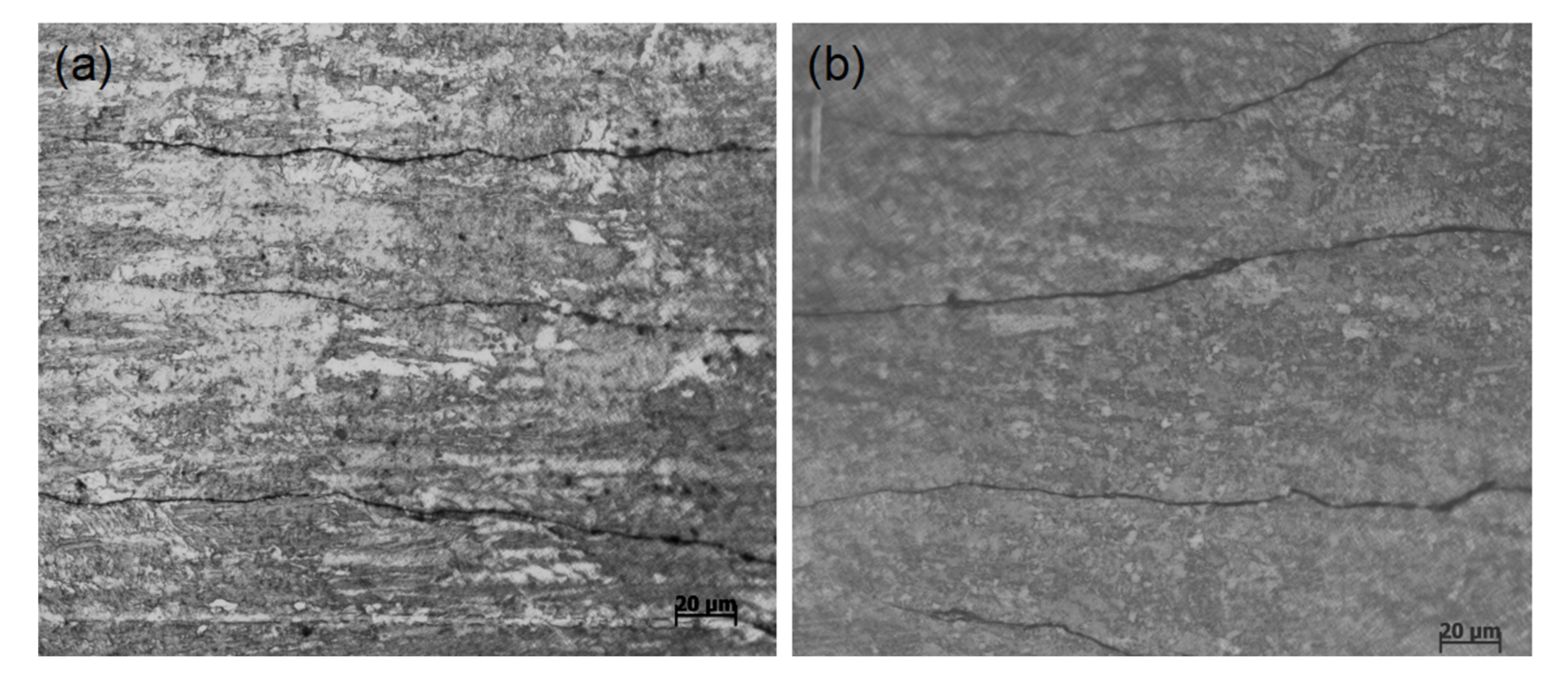 Coatings 11 01030 g005