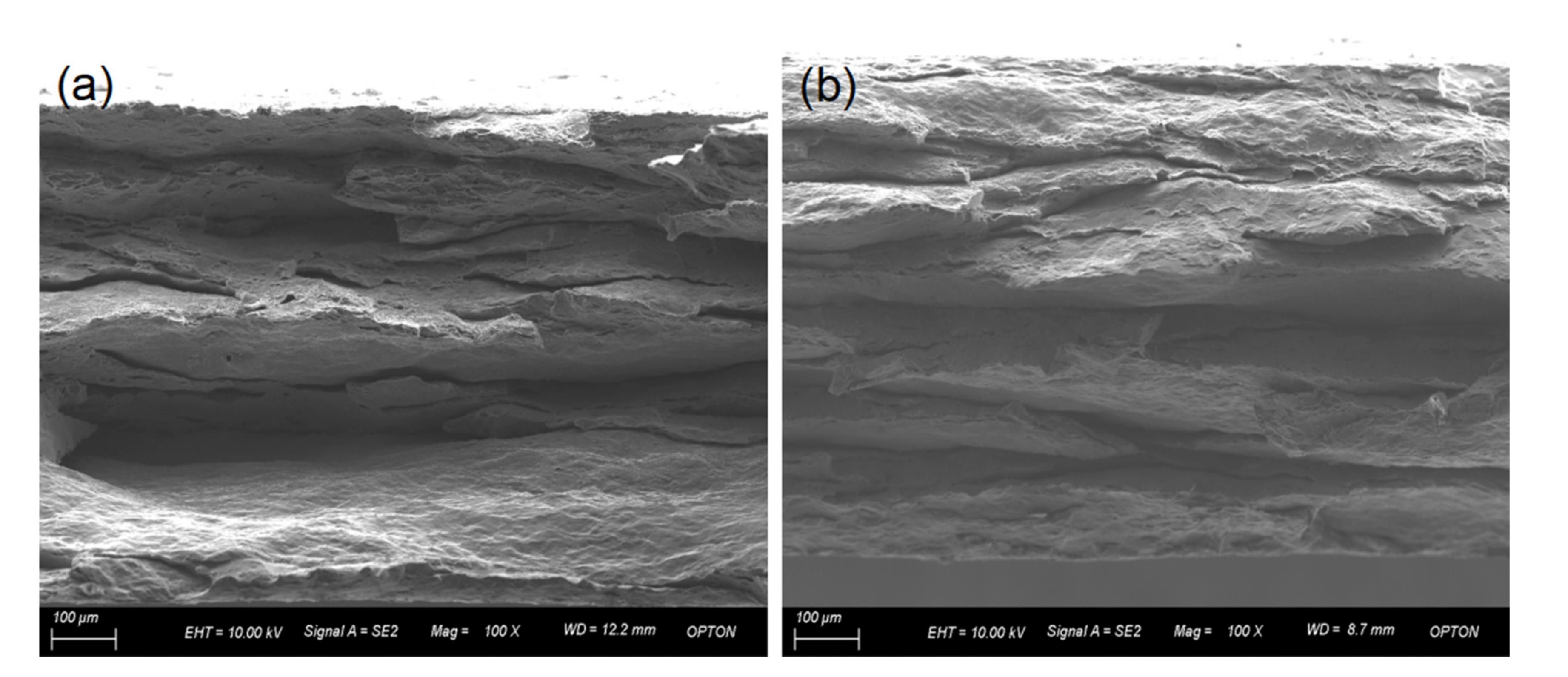 Coatings 11 01030 g008