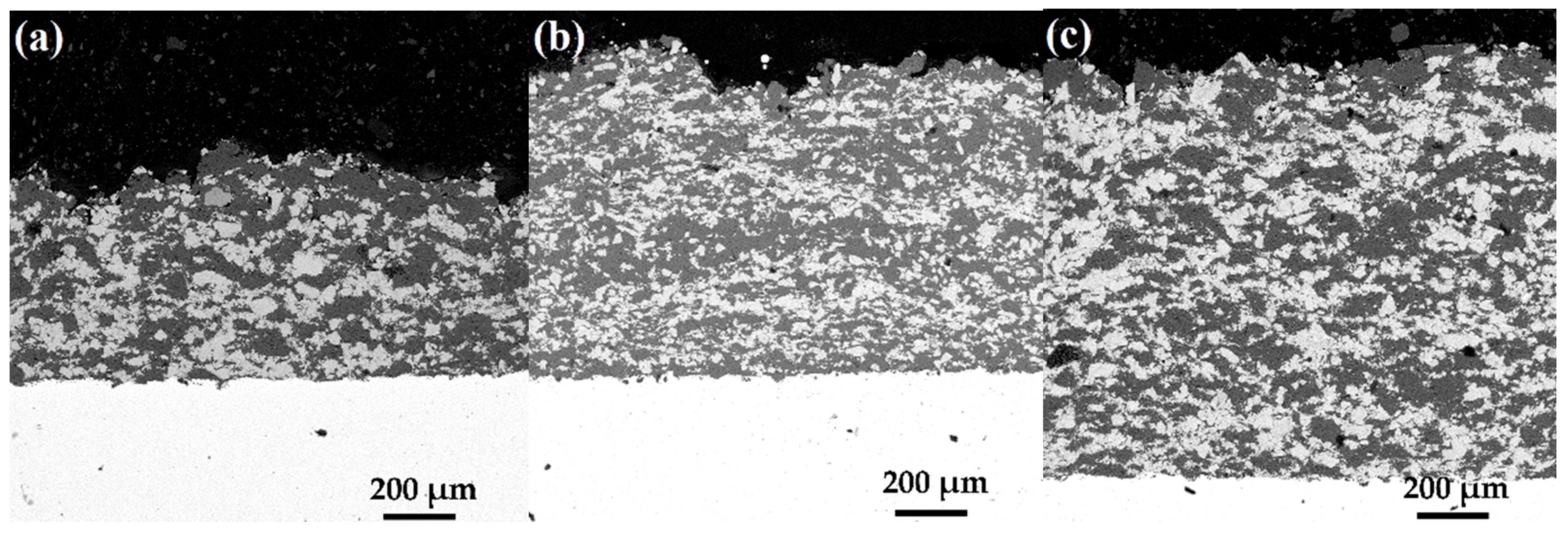 Coatings 11 01034 g007