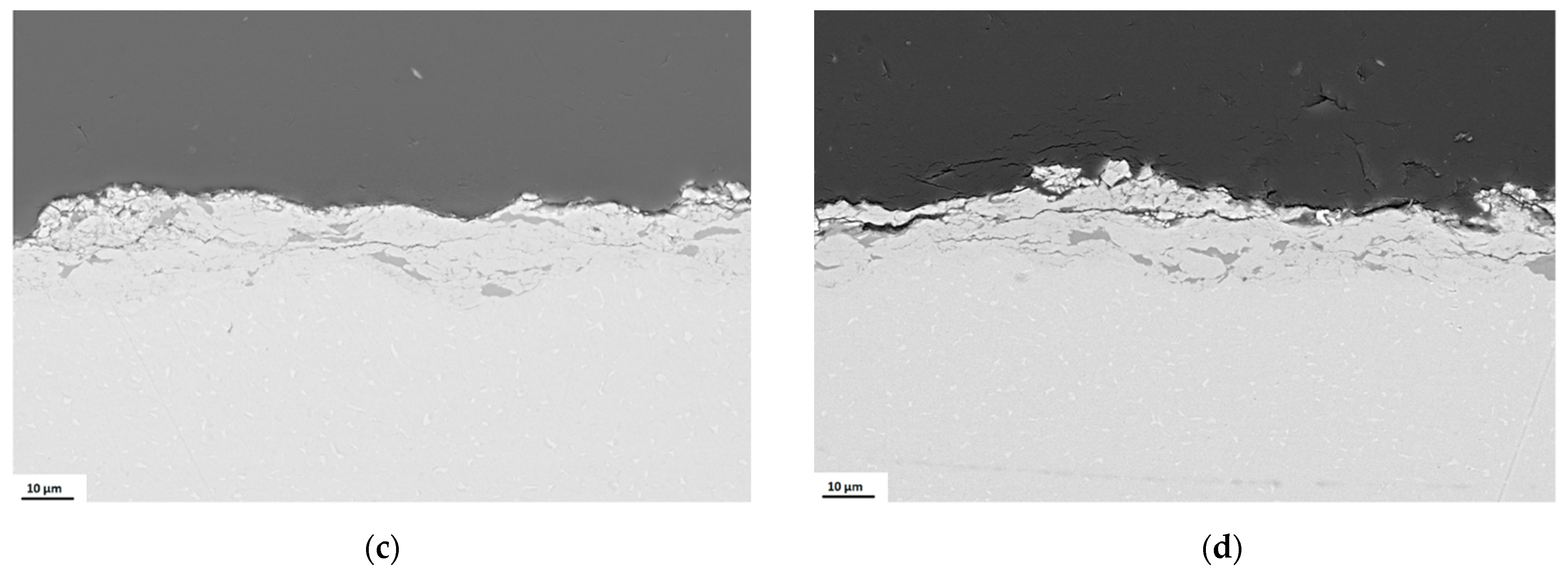 Coatings 11 01038 g011b
