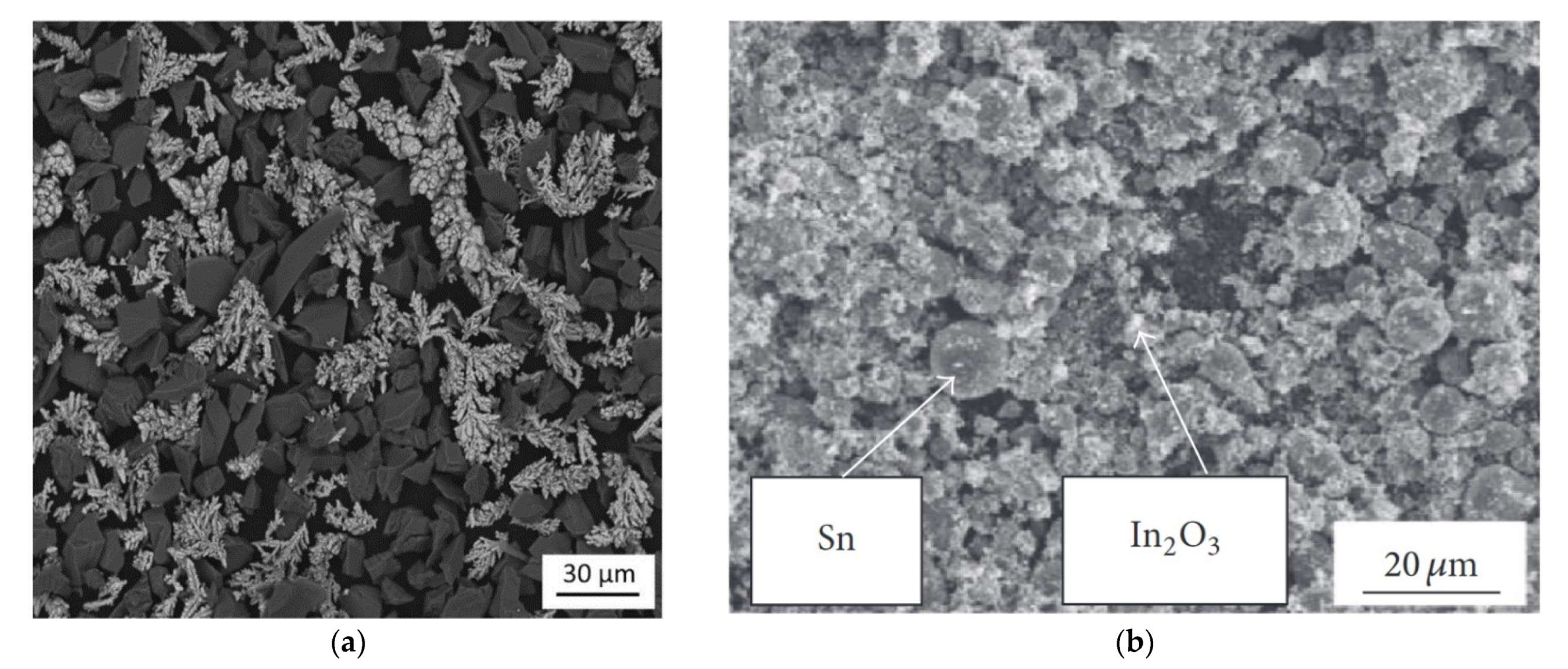 Coatings 11 01044 g006