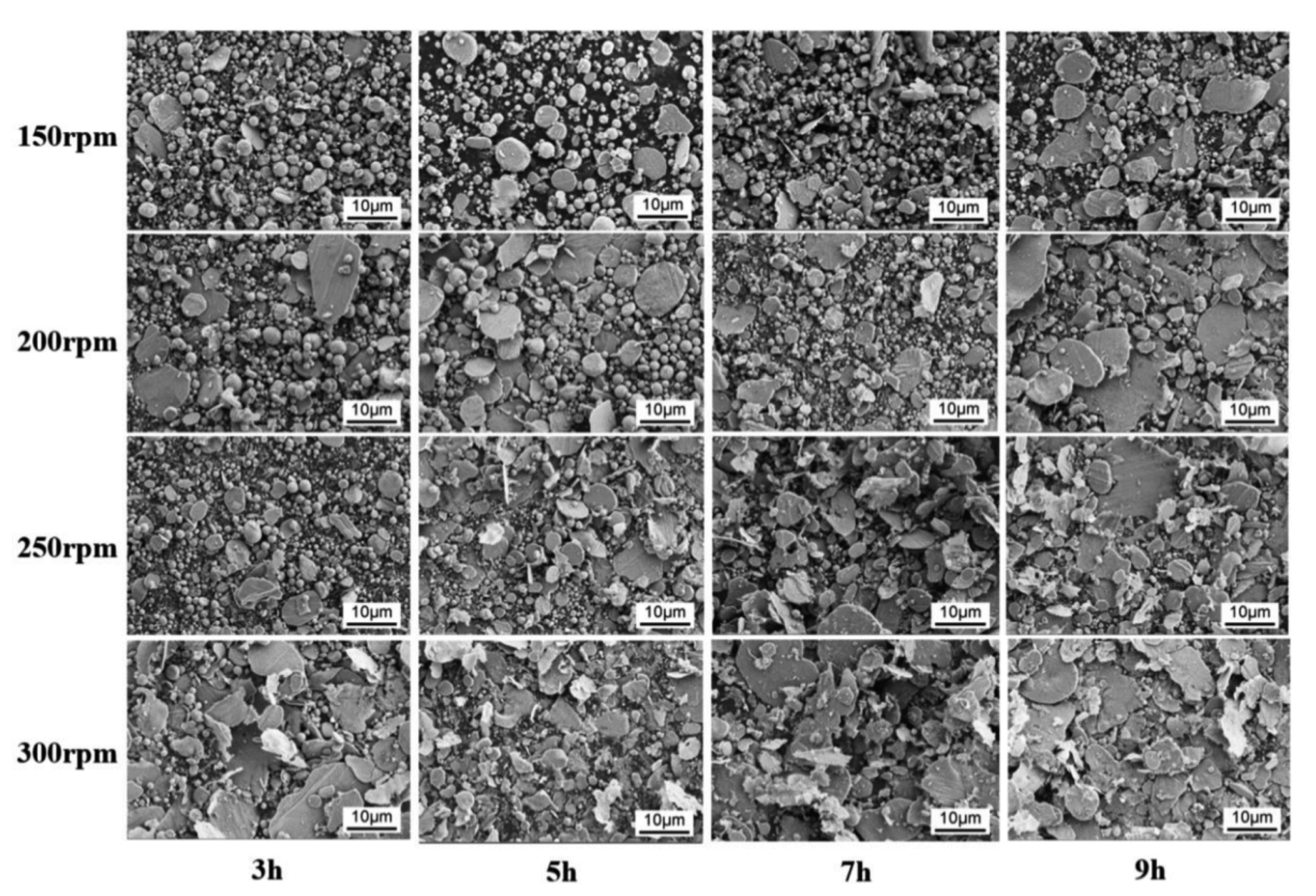 Coatings 11 01044 g008
