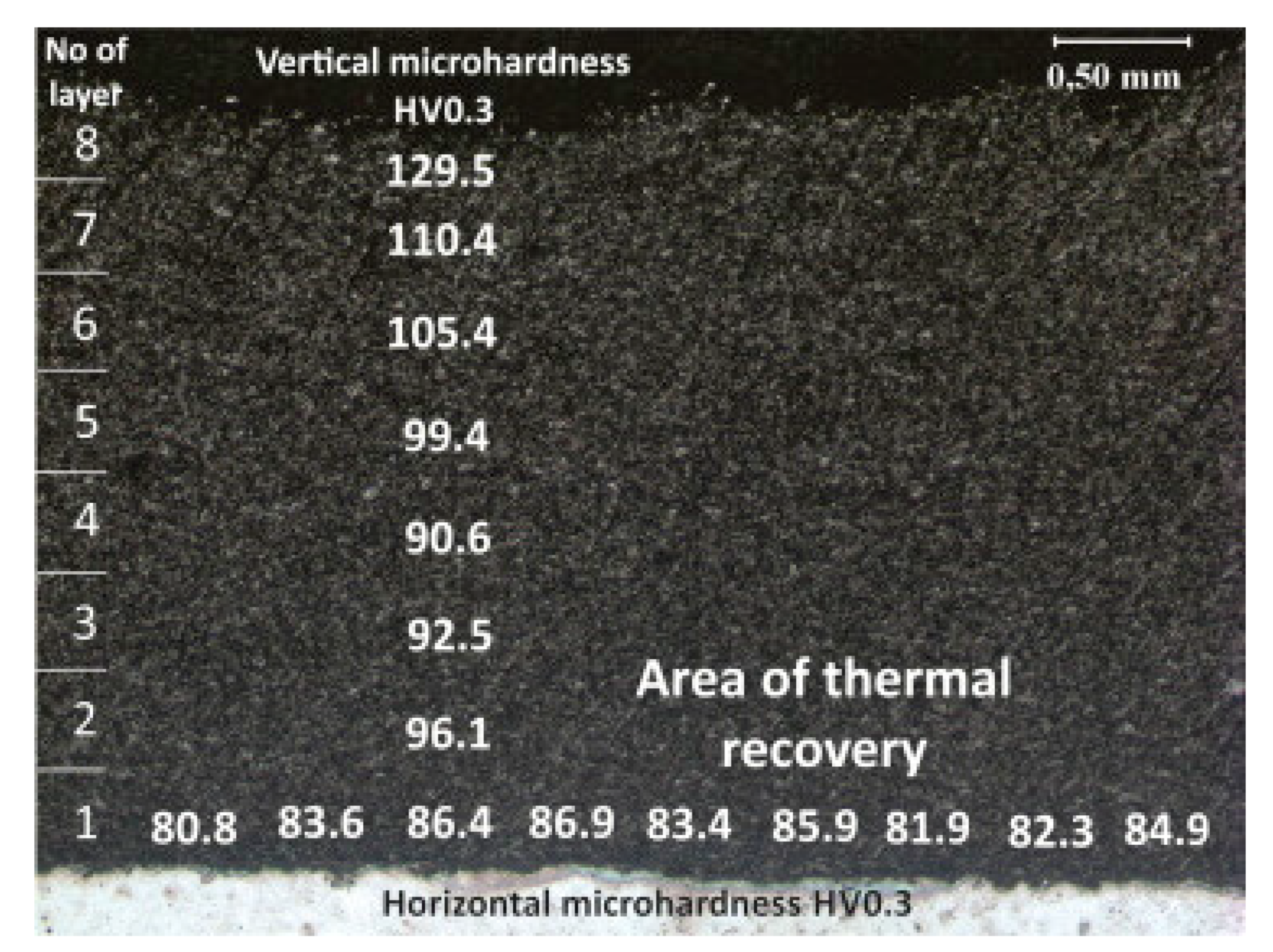 Coatings 11 01044 g016