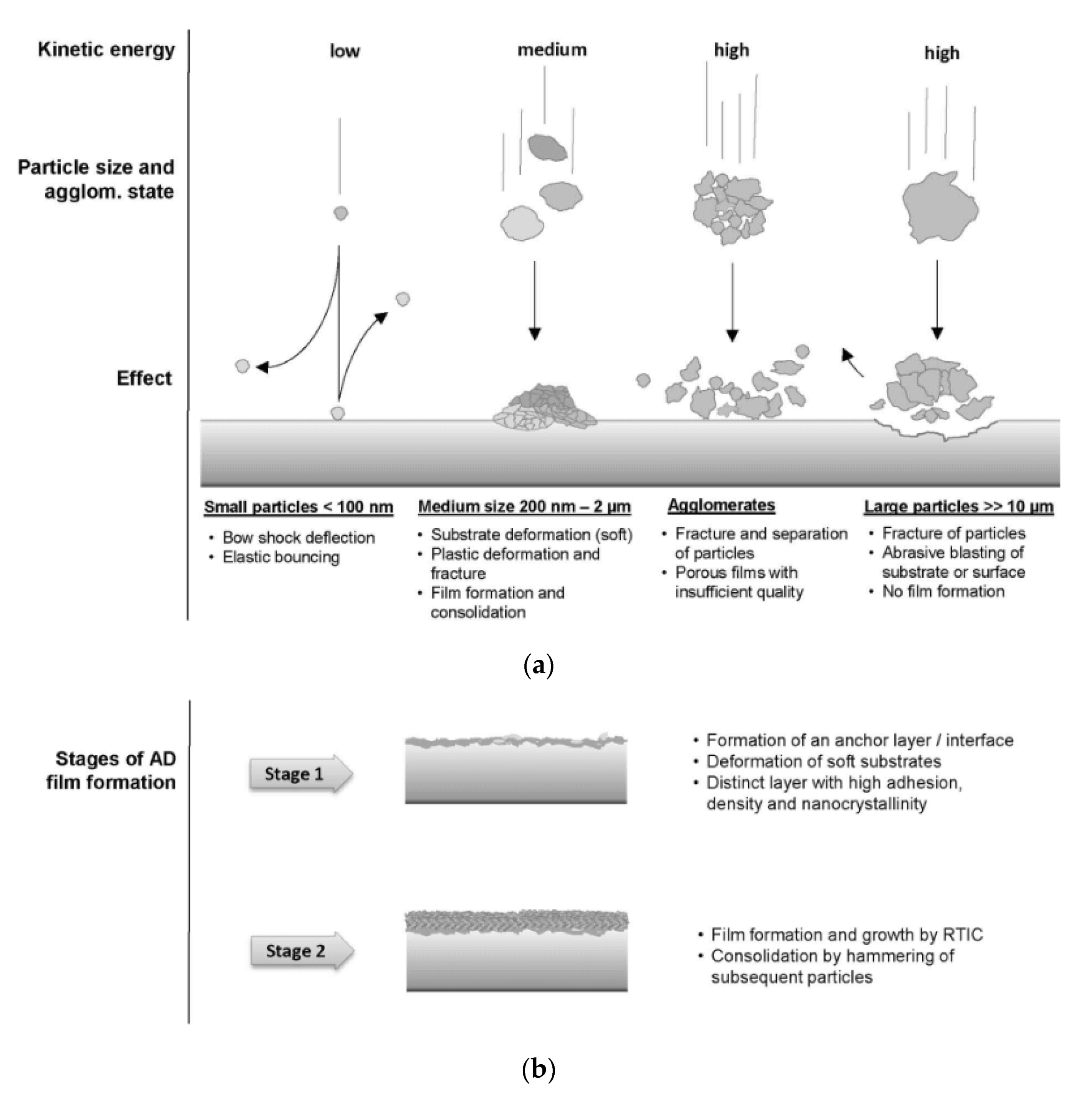 Coatings 11 01044 g021
