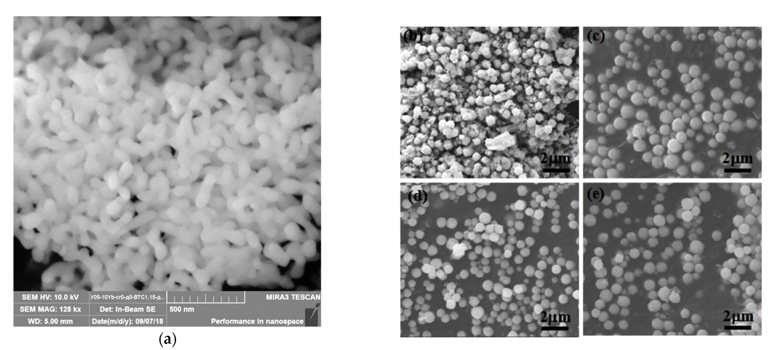 Coatings 11 01044 g023