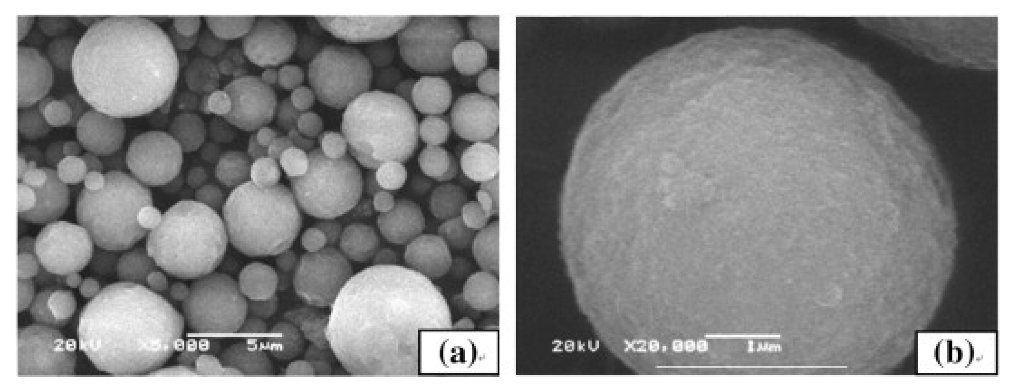 Coatings 11 01044 g024
