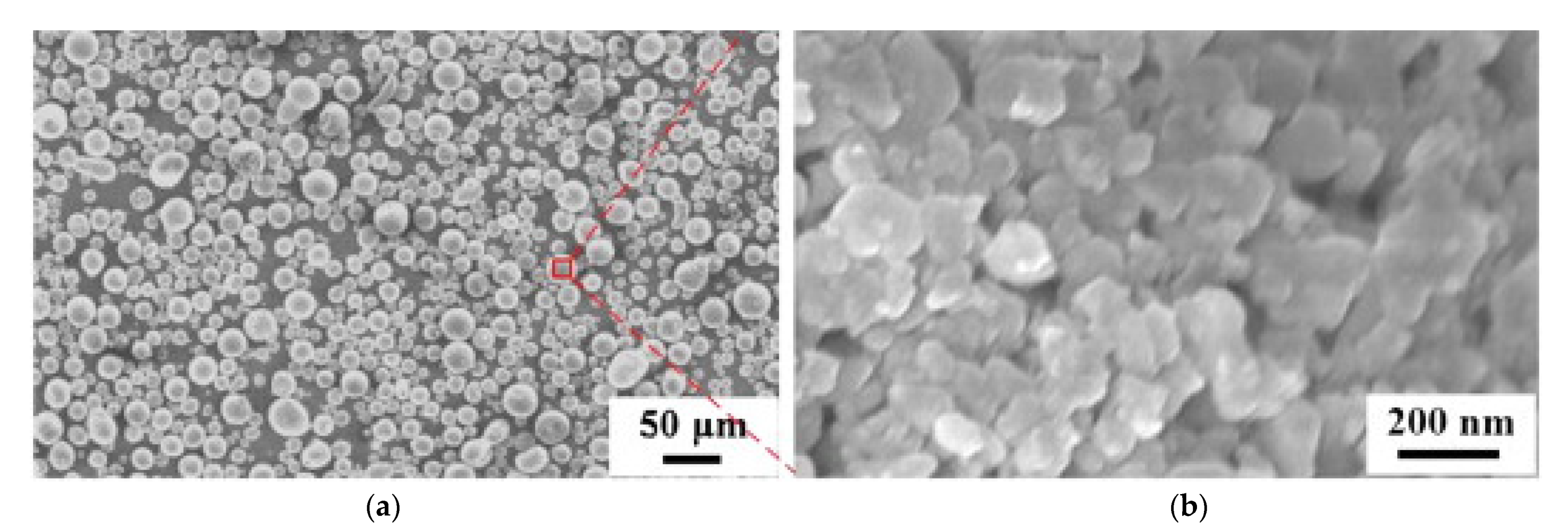 Coatings 11 01044 g025