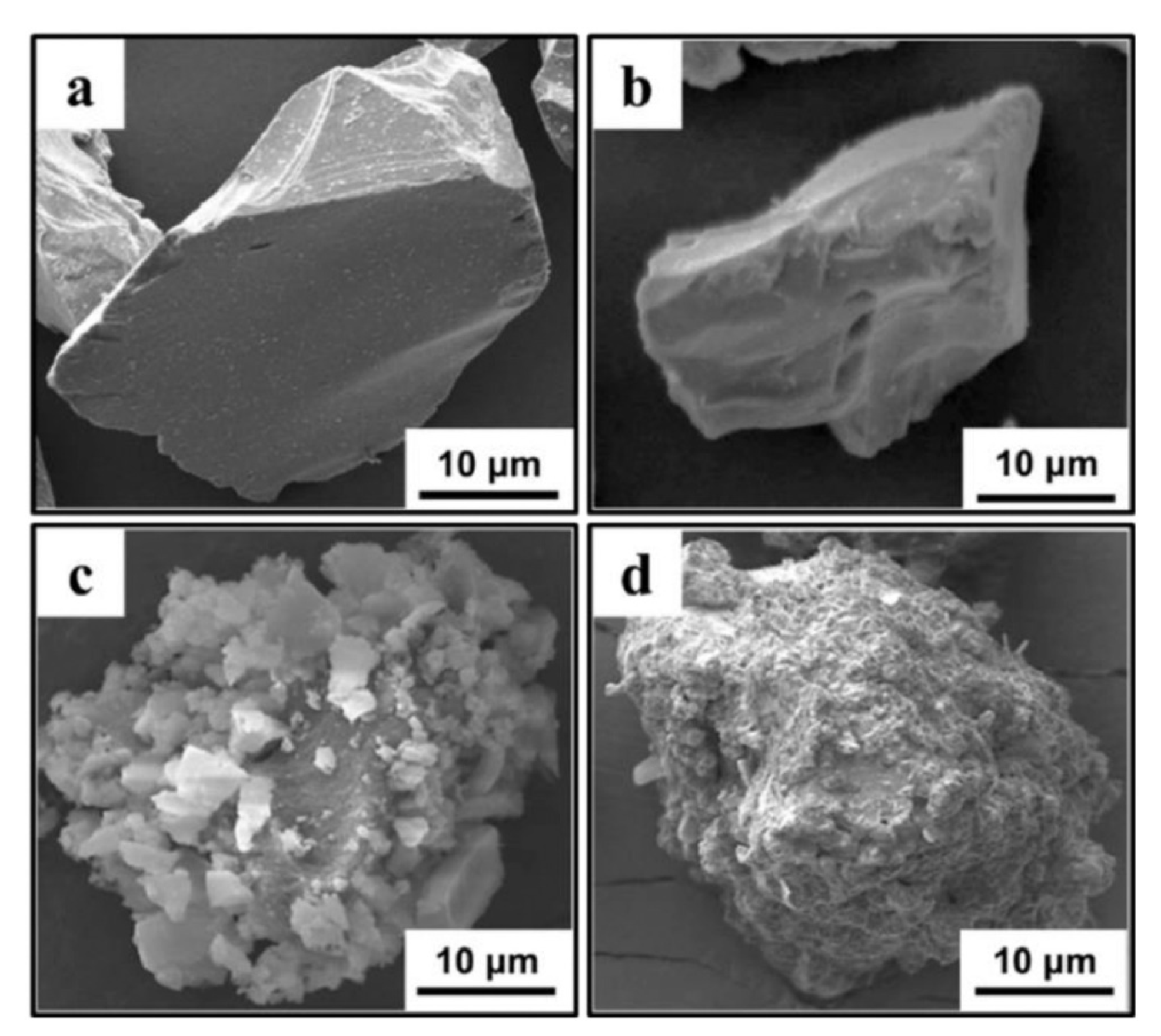 Coatings 11 01044 g026
