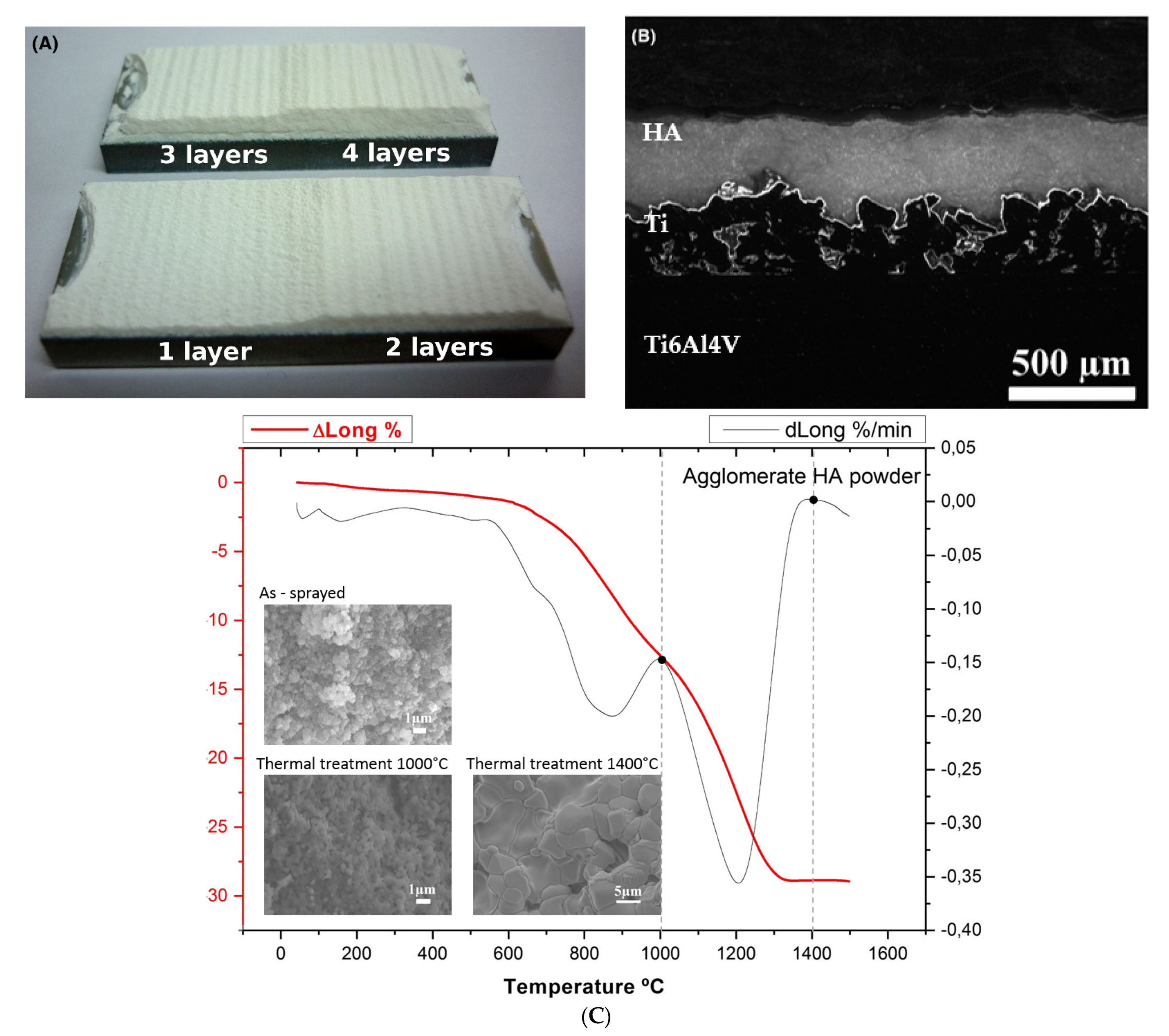 Coatings 11 01044 g031