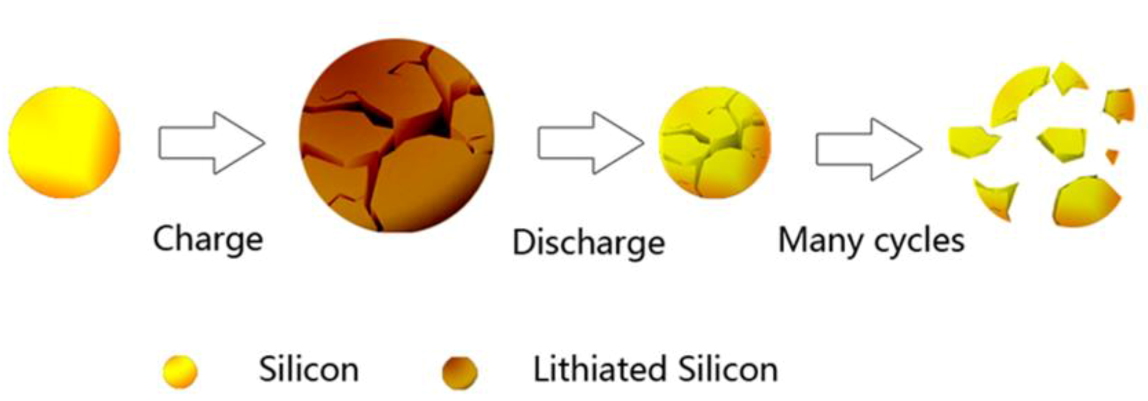 Coatings 11 01047 g001