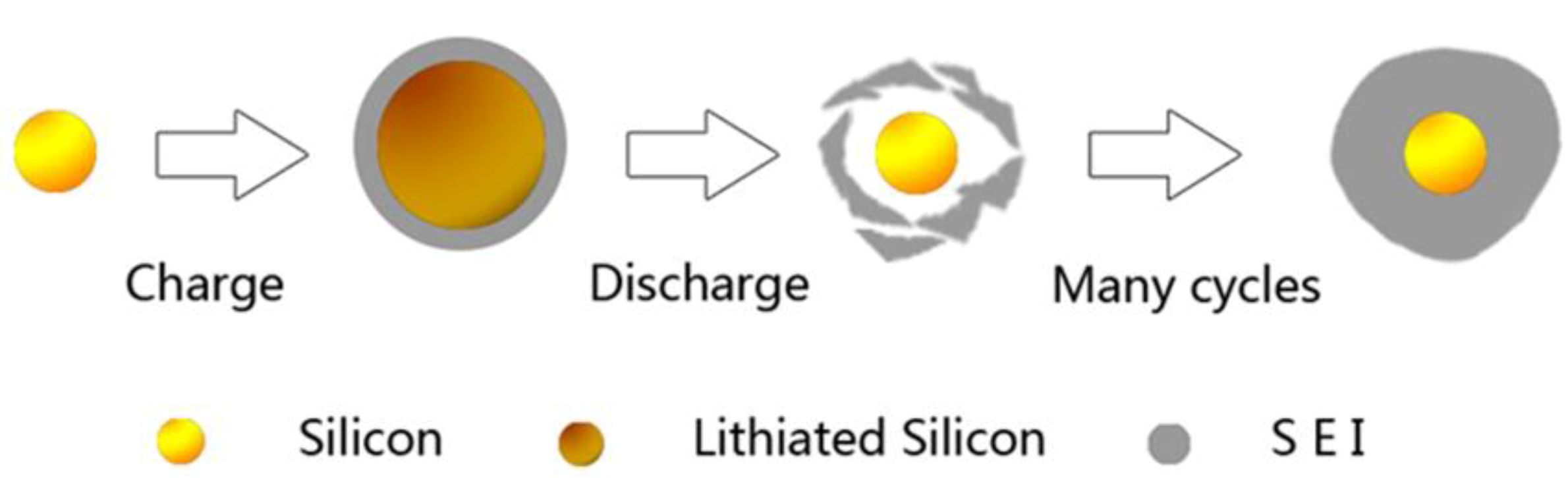 Coatings 11 01047 g002