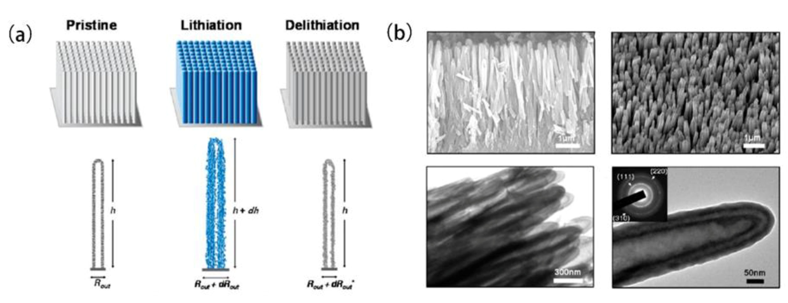 Coatings 11 01047 g005