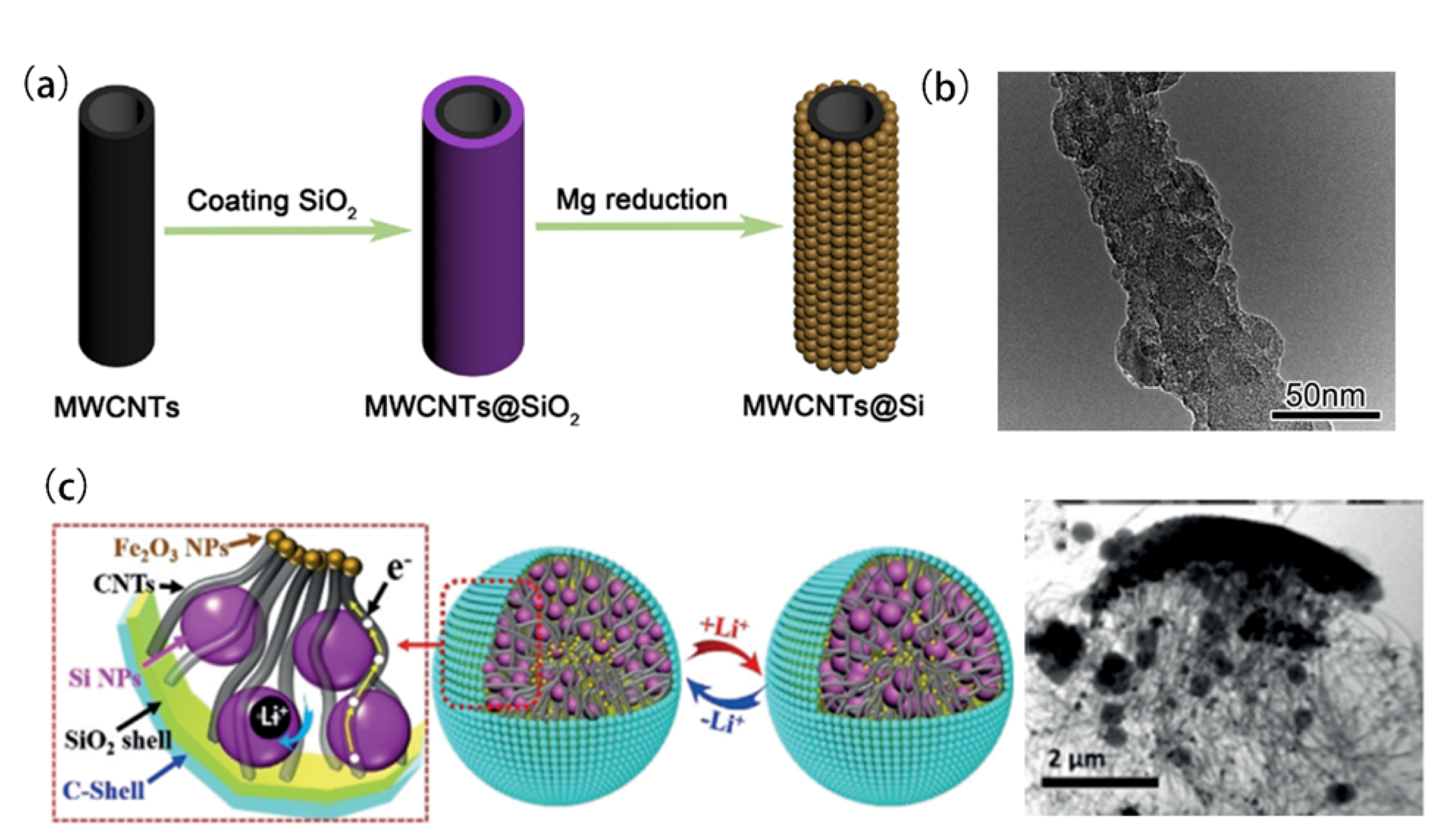 Coatings 11 01047 g007