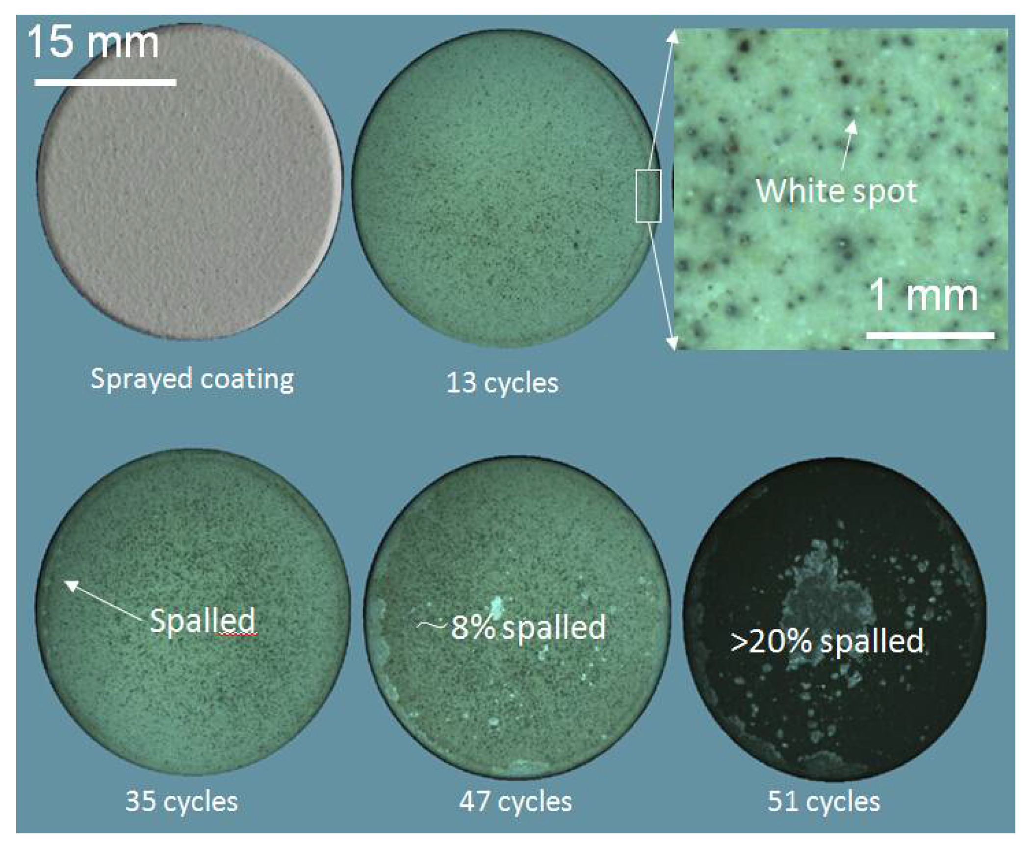 Coatings 11 01051 g004