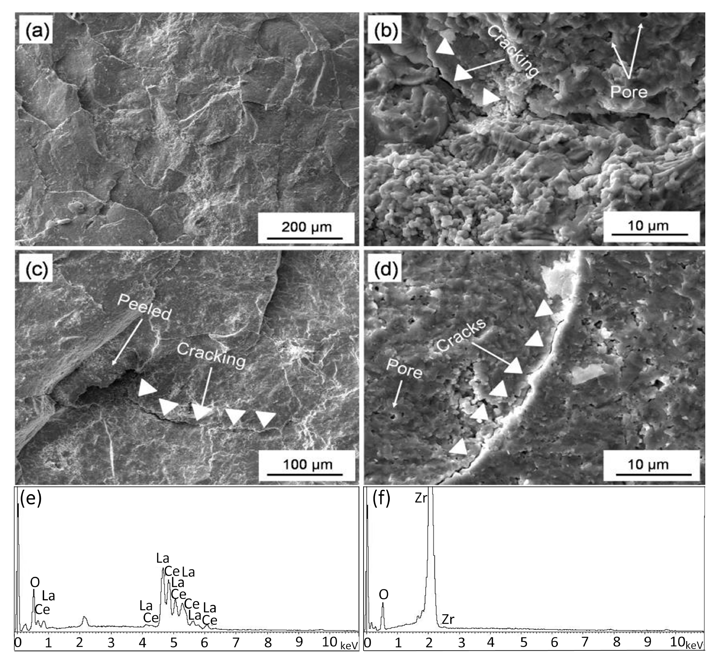 Coatings 11 01051 g006