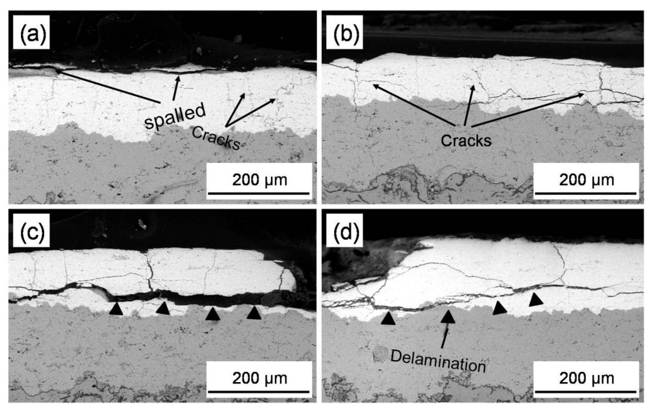 Coatings 11 01051 g007