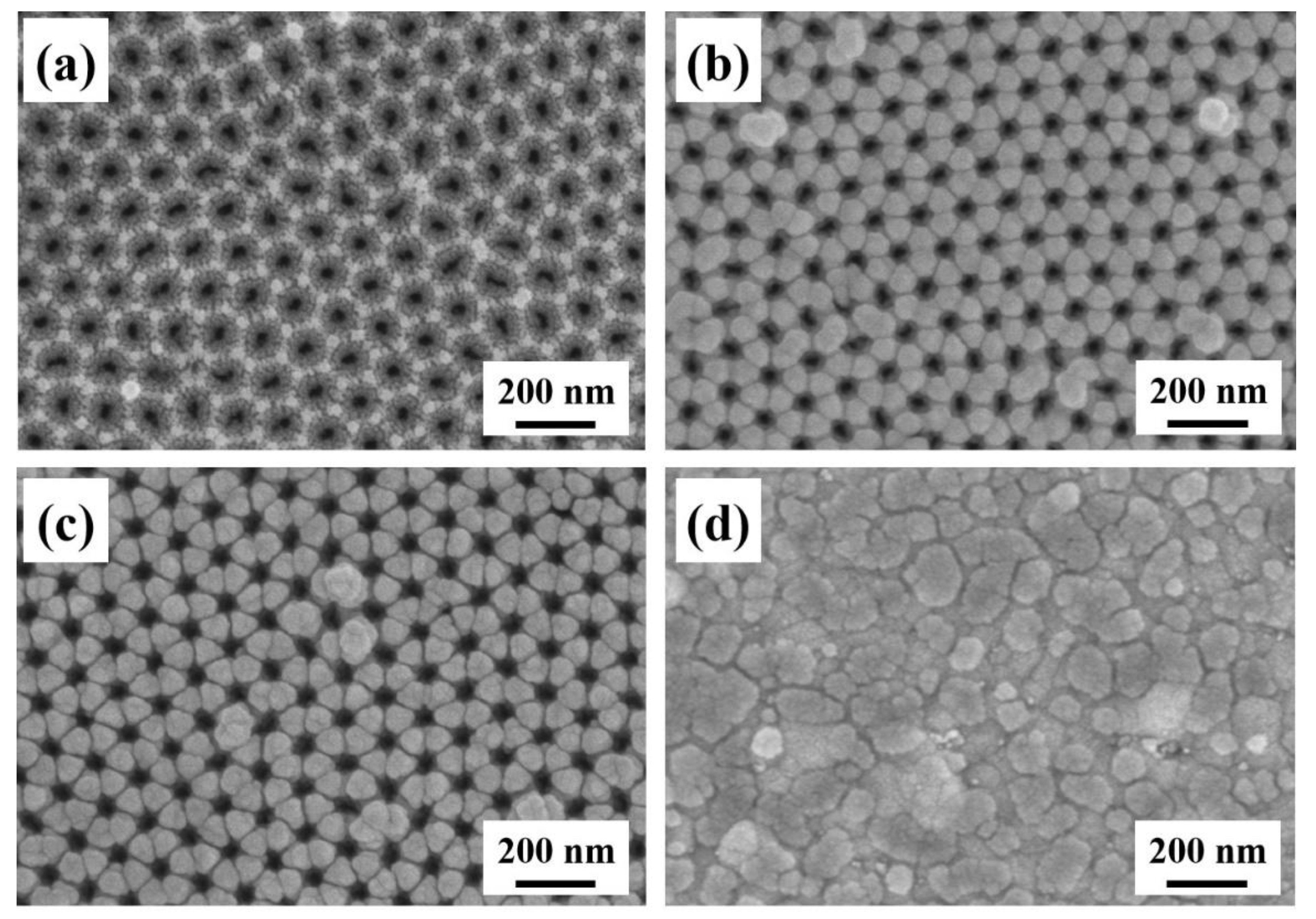 Coatings 11 01054 g004 Coatings 11 01054 g004