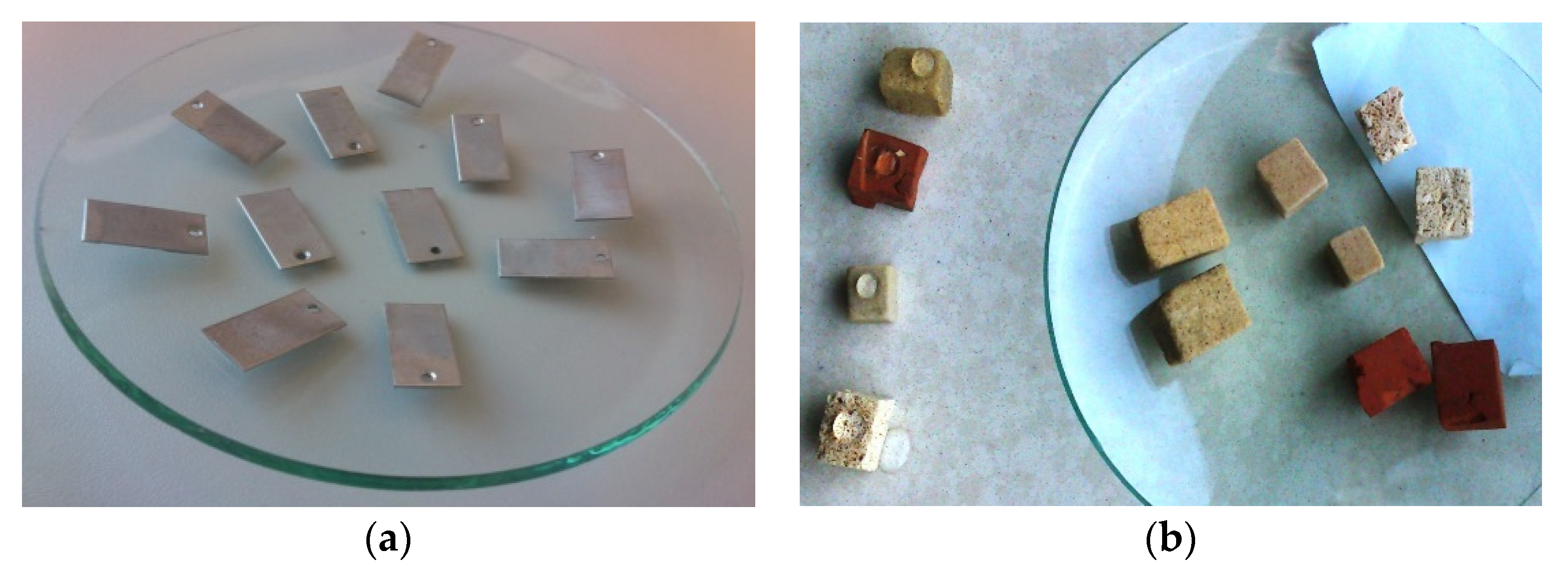 Coatings 11 01058 g001