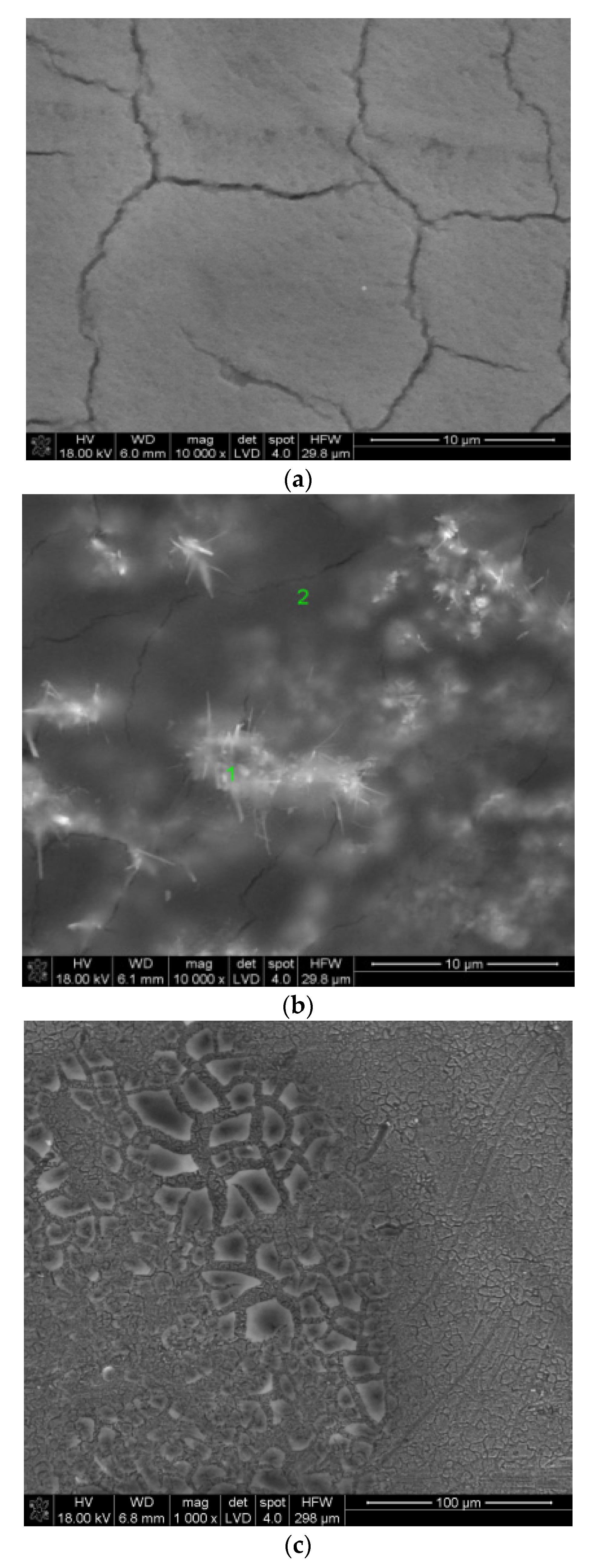 Coatings 11 01058 g009