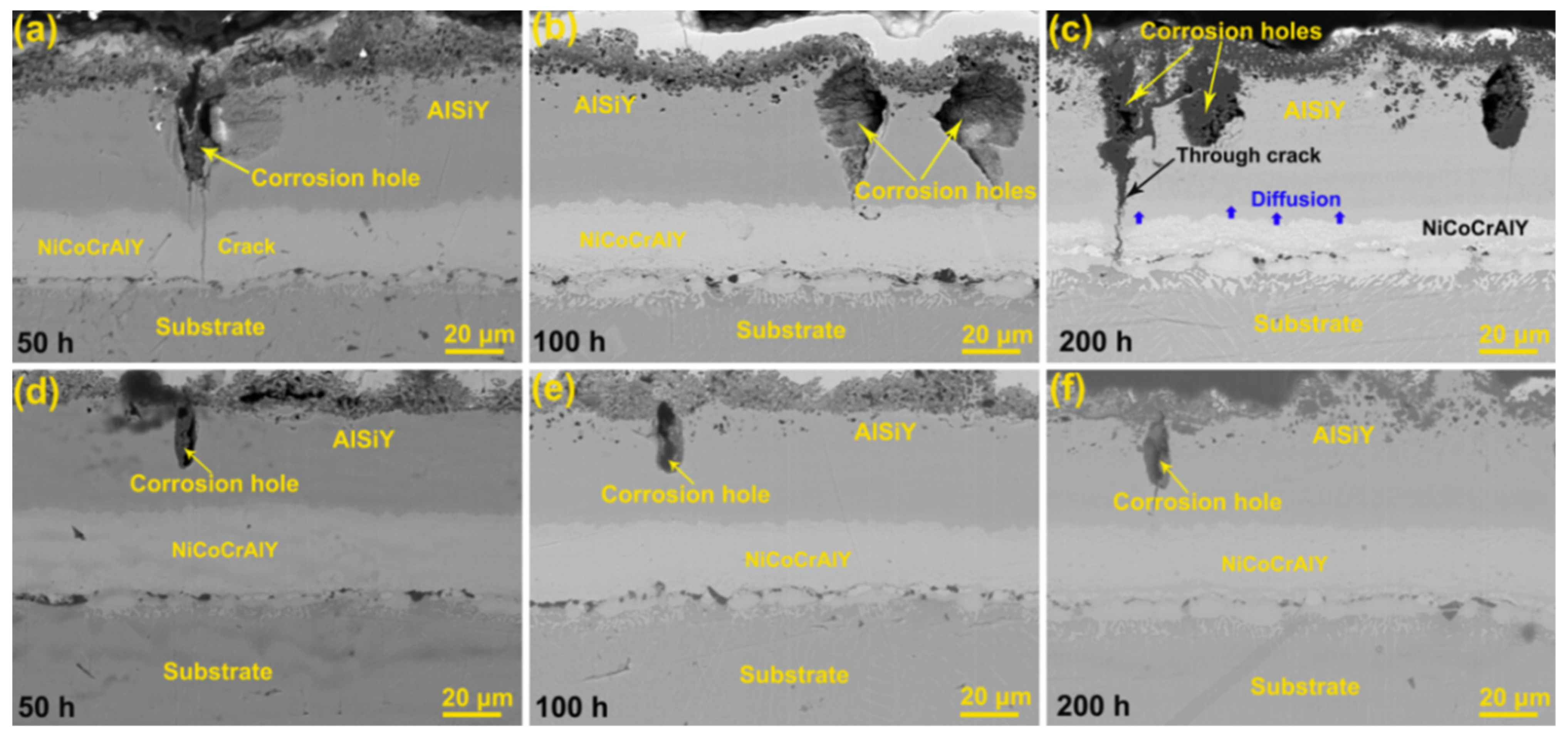 Coatings 11 01062 g005