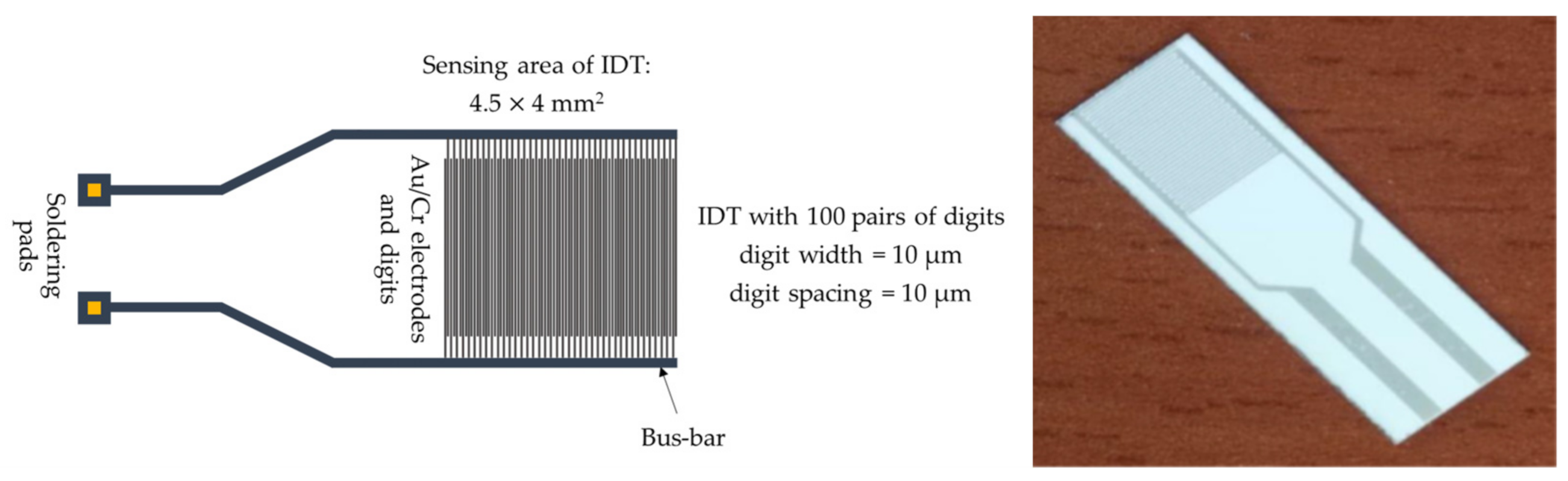 Coatings 11 01065 g002