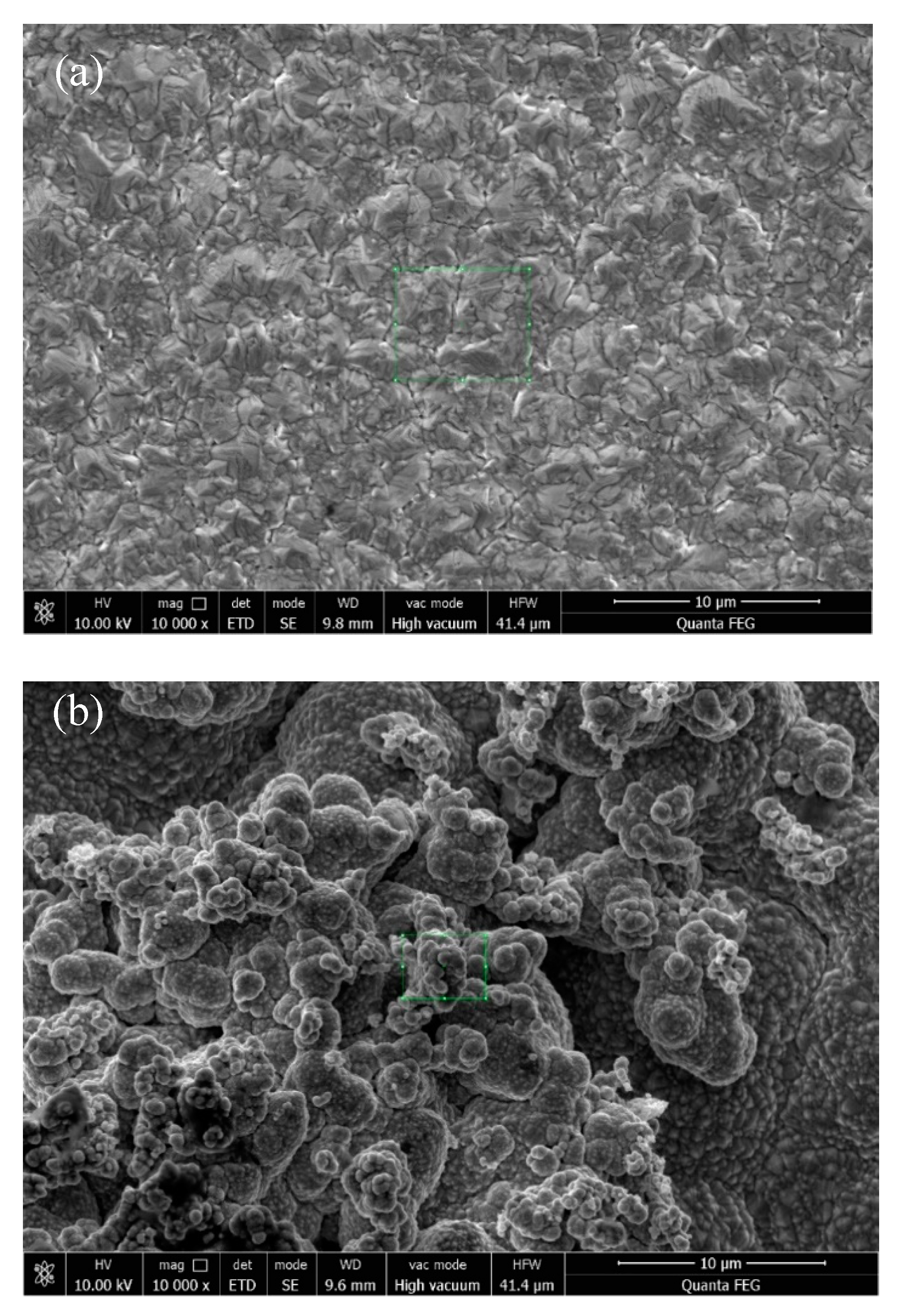 Coatings 11 01068 g005a