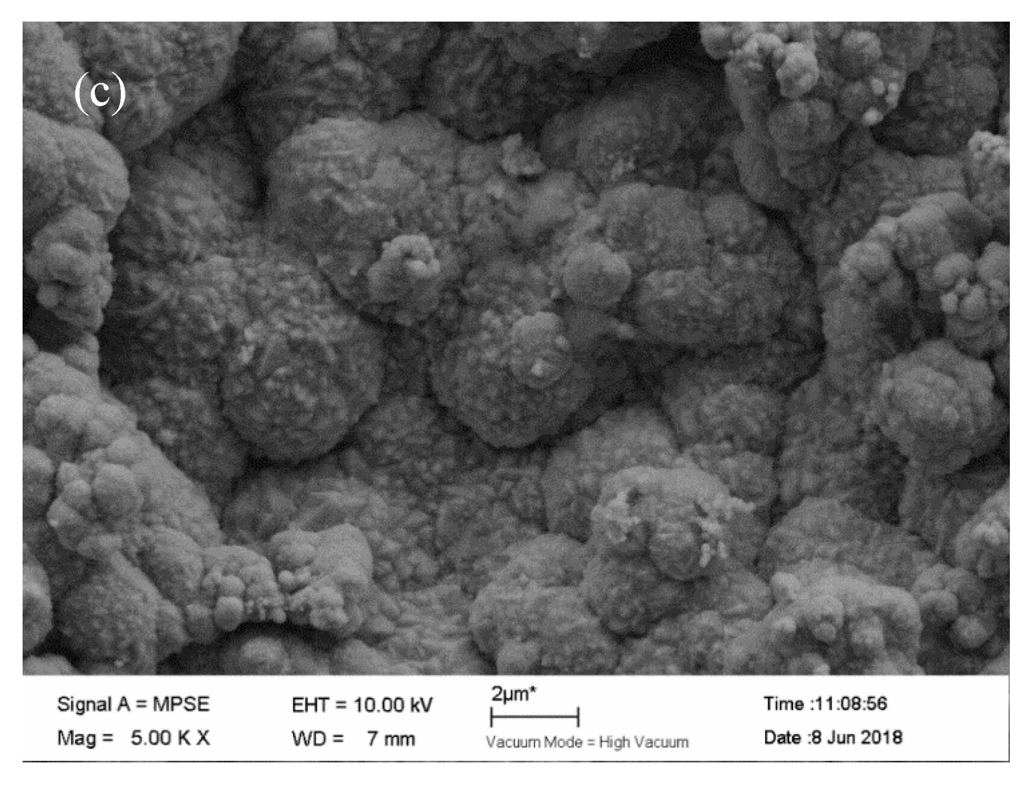Coatings 11 01068 g007b