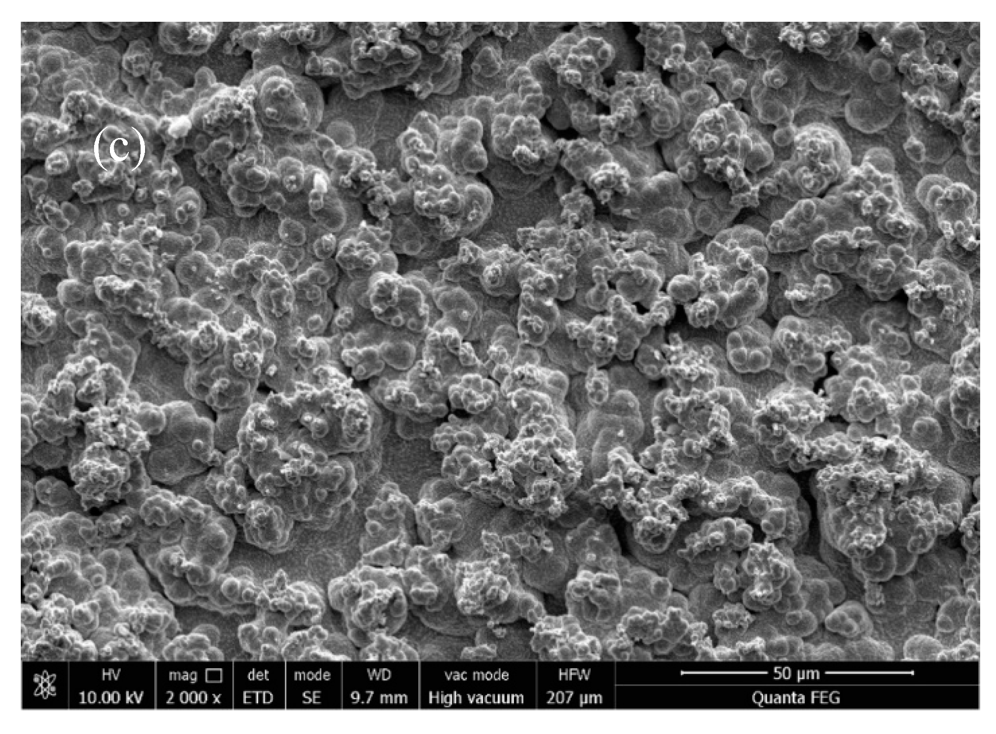 Coatings 11 01068 g009b