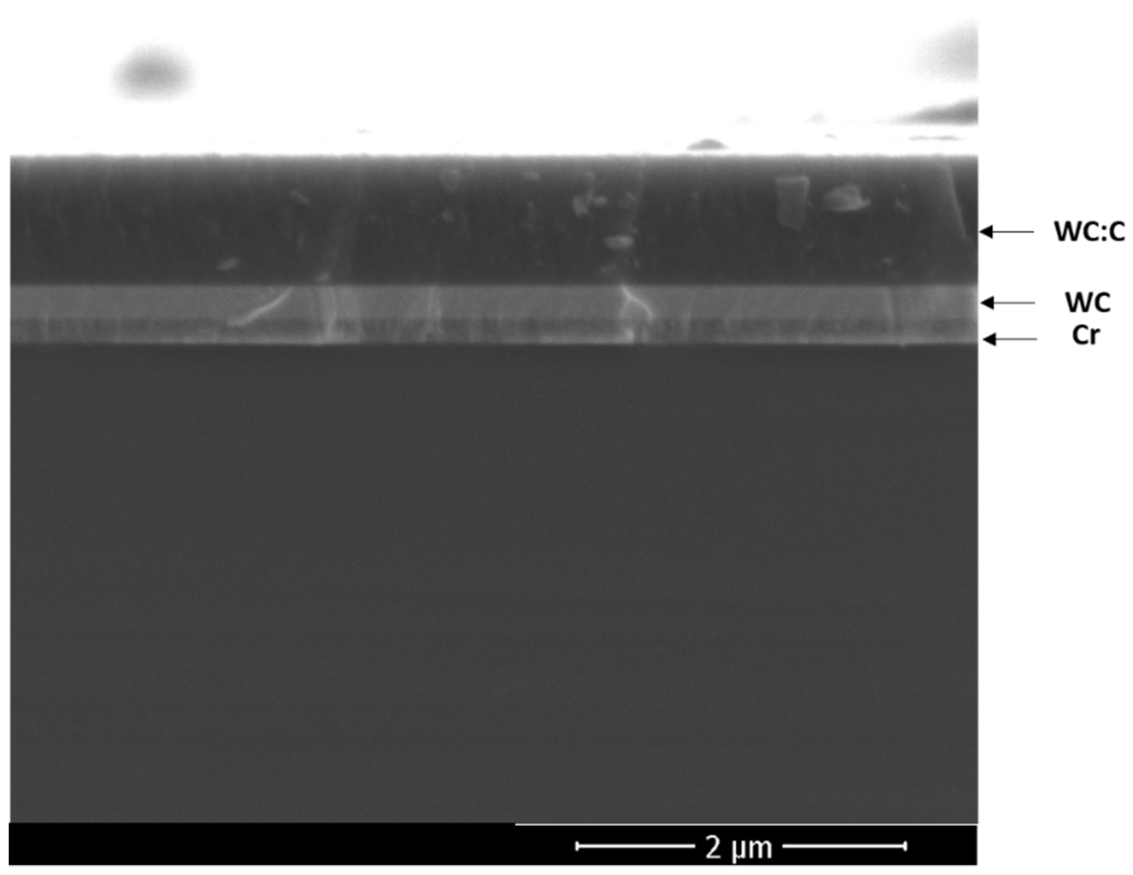 Coatings 11 01070 g003
