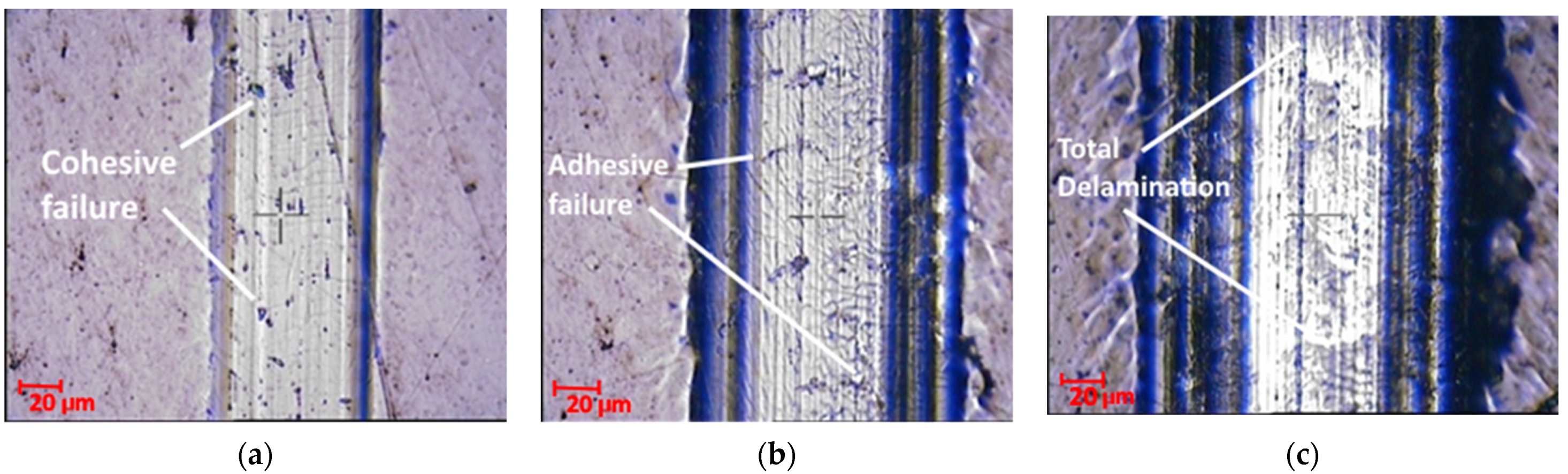 Coatings 11 01070 g008