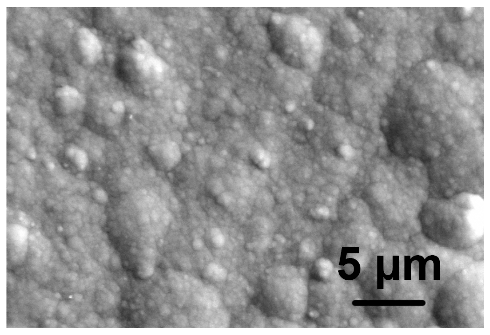 Coatings 11 01071 g001