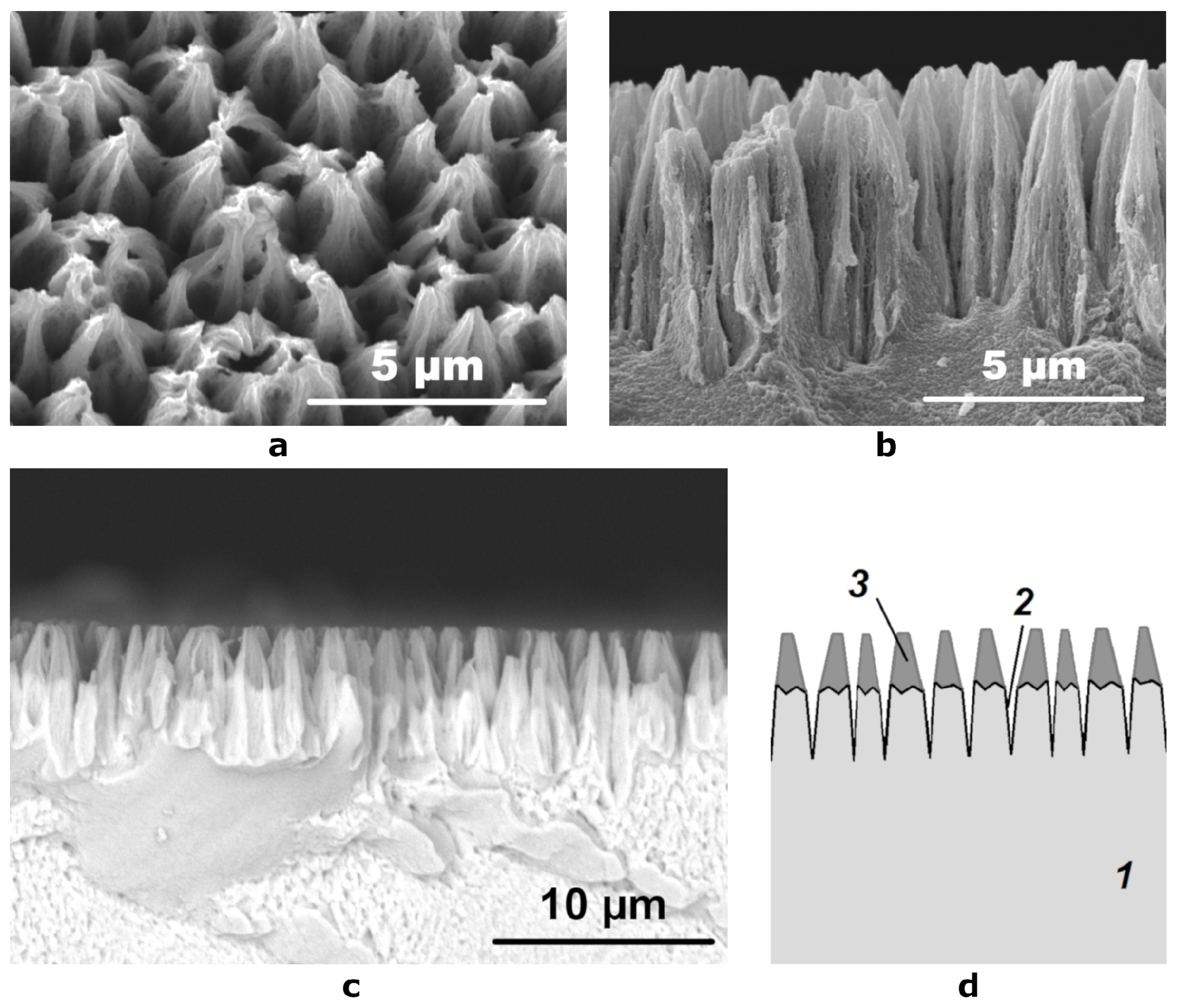 Coatings 11 01071 g002