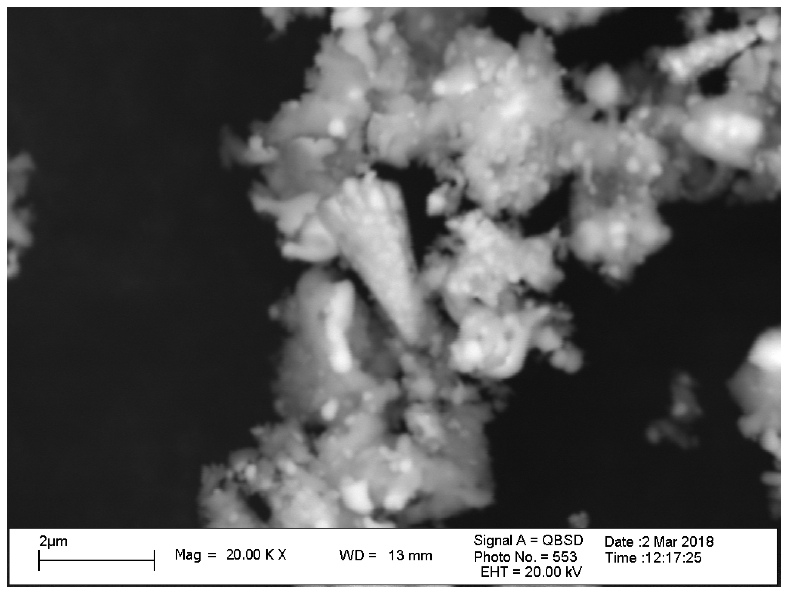 Coatings 11 01071 g008
