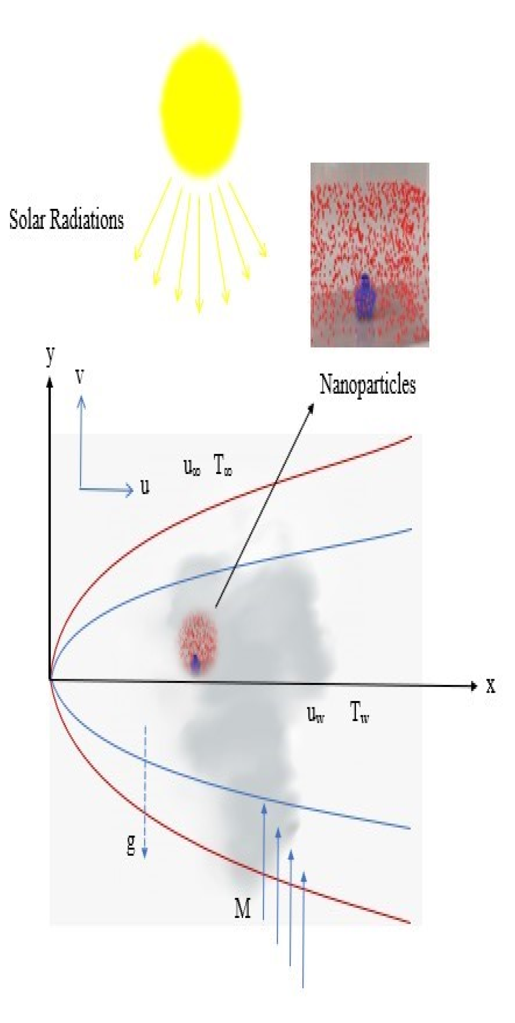 Coatings 11 01072 g001