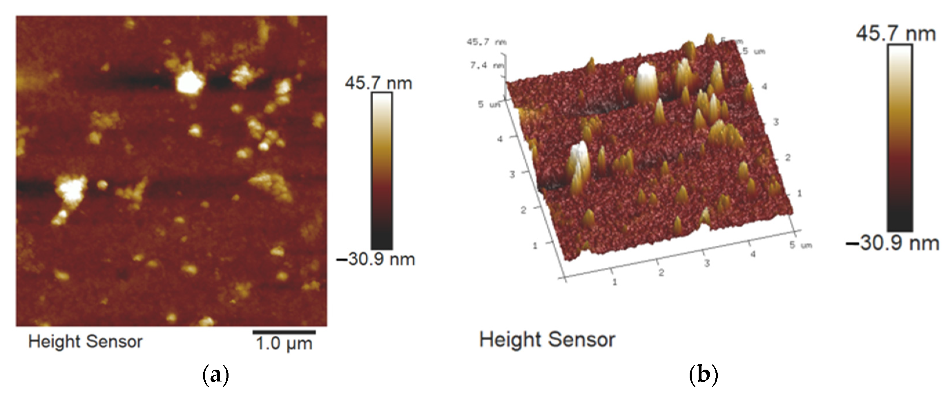 Coatings 11 01073 g003