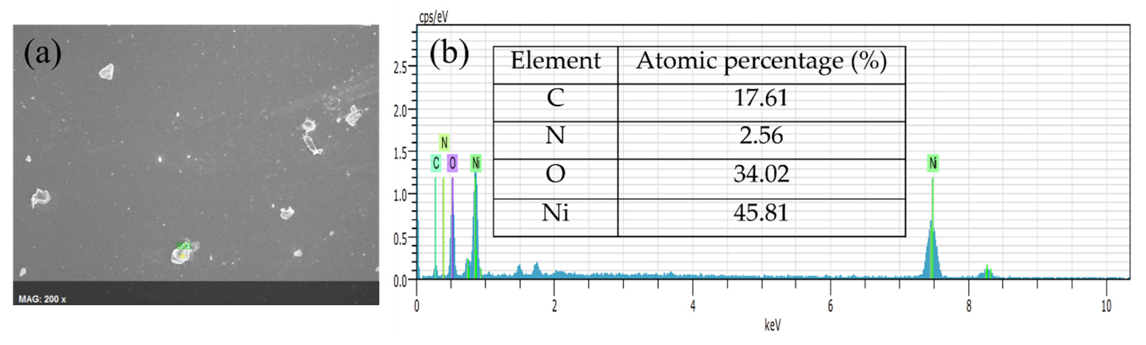 Coatings 11 01073 g004