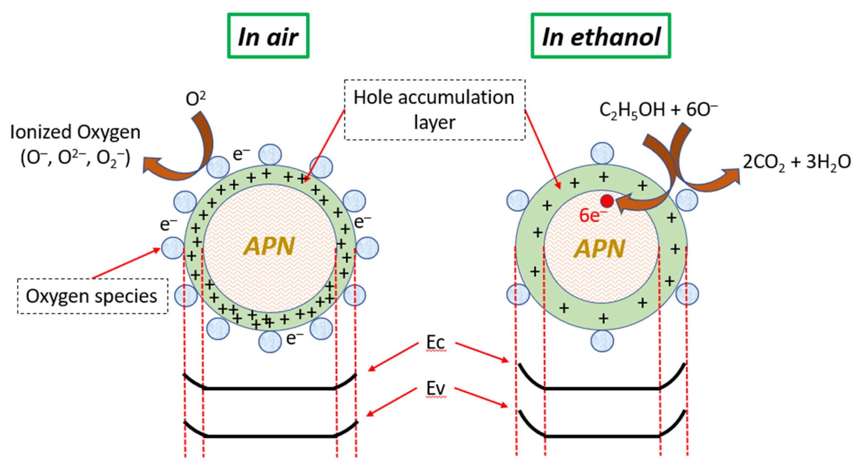 Coatings 11 01073 g010