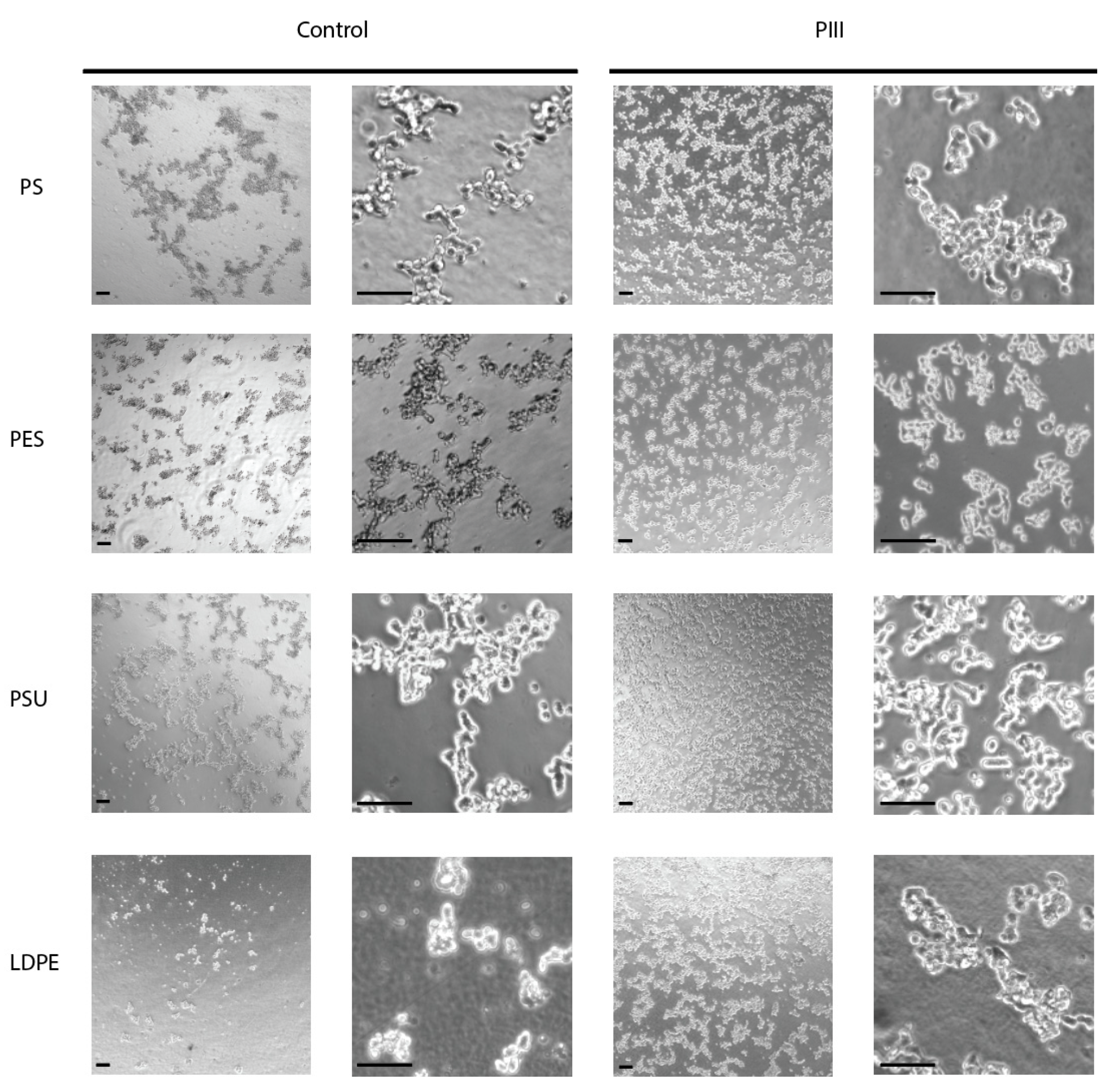 Coatings 11 01085 g008