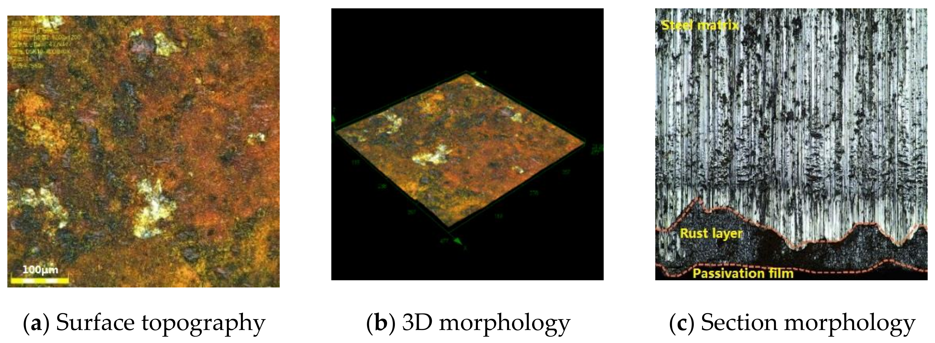 Coatings 11 01091 g011