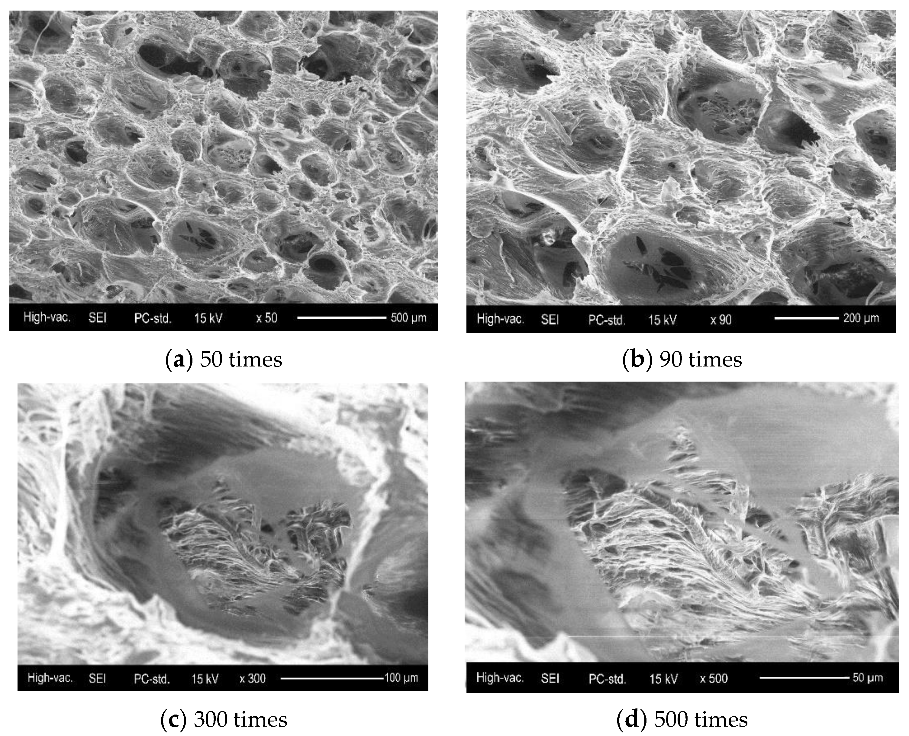 Coatings 11 01094 g003
