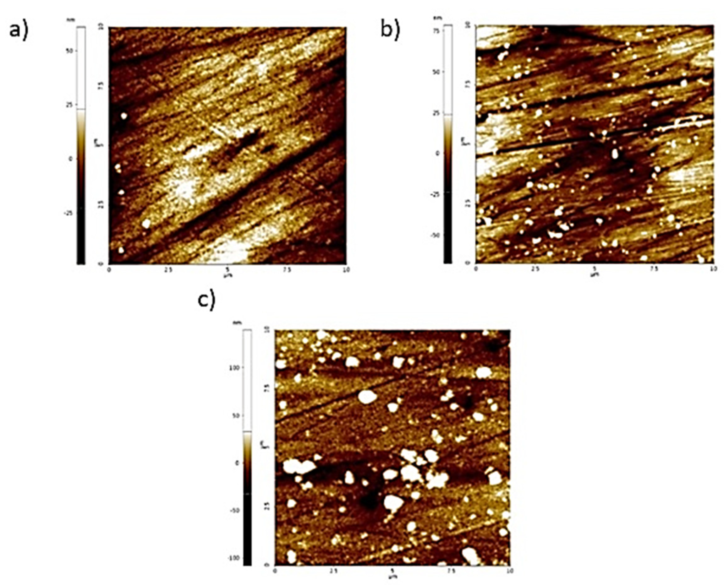 Coatings 11 01096 g002