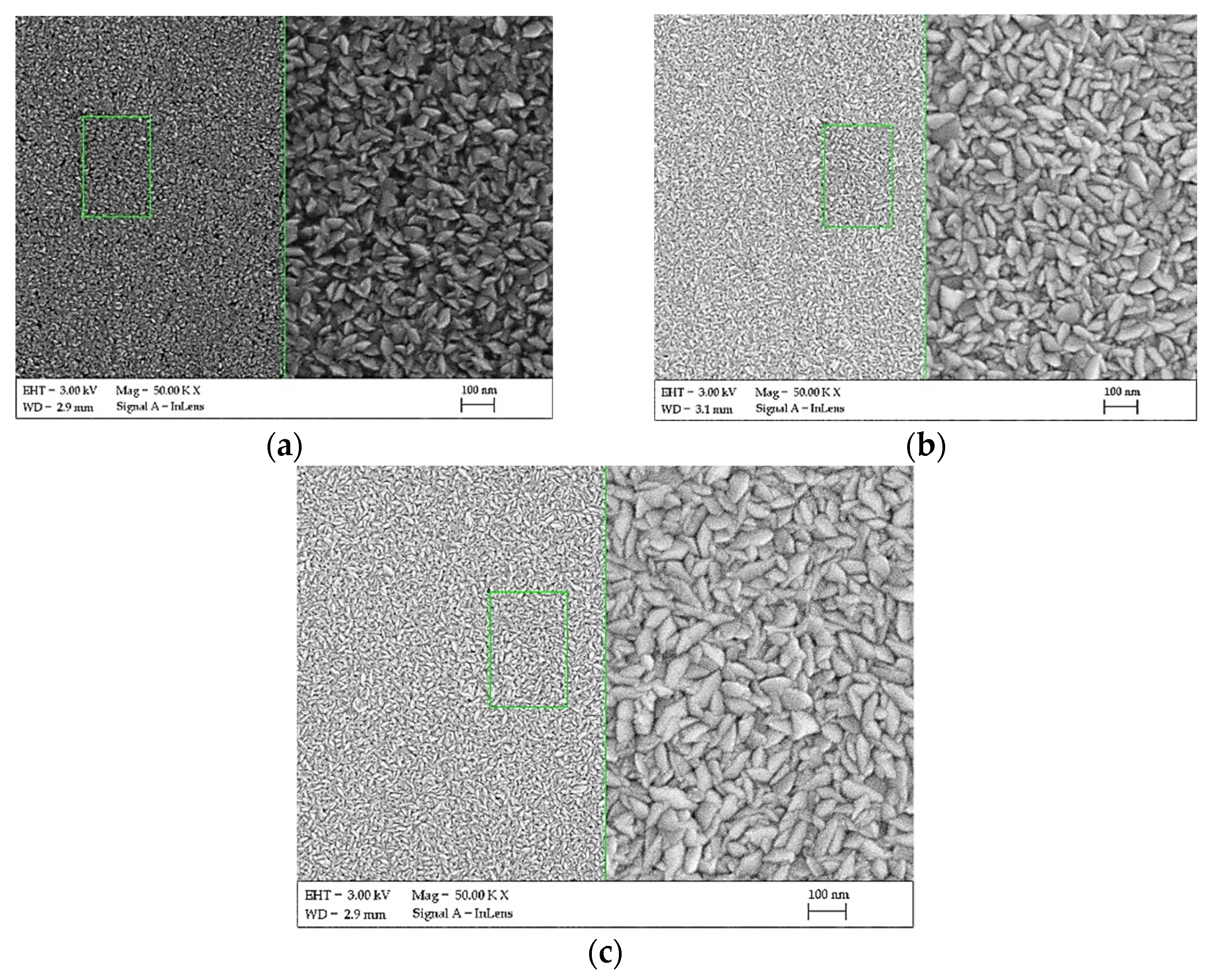 Coatings 11 01096 g005