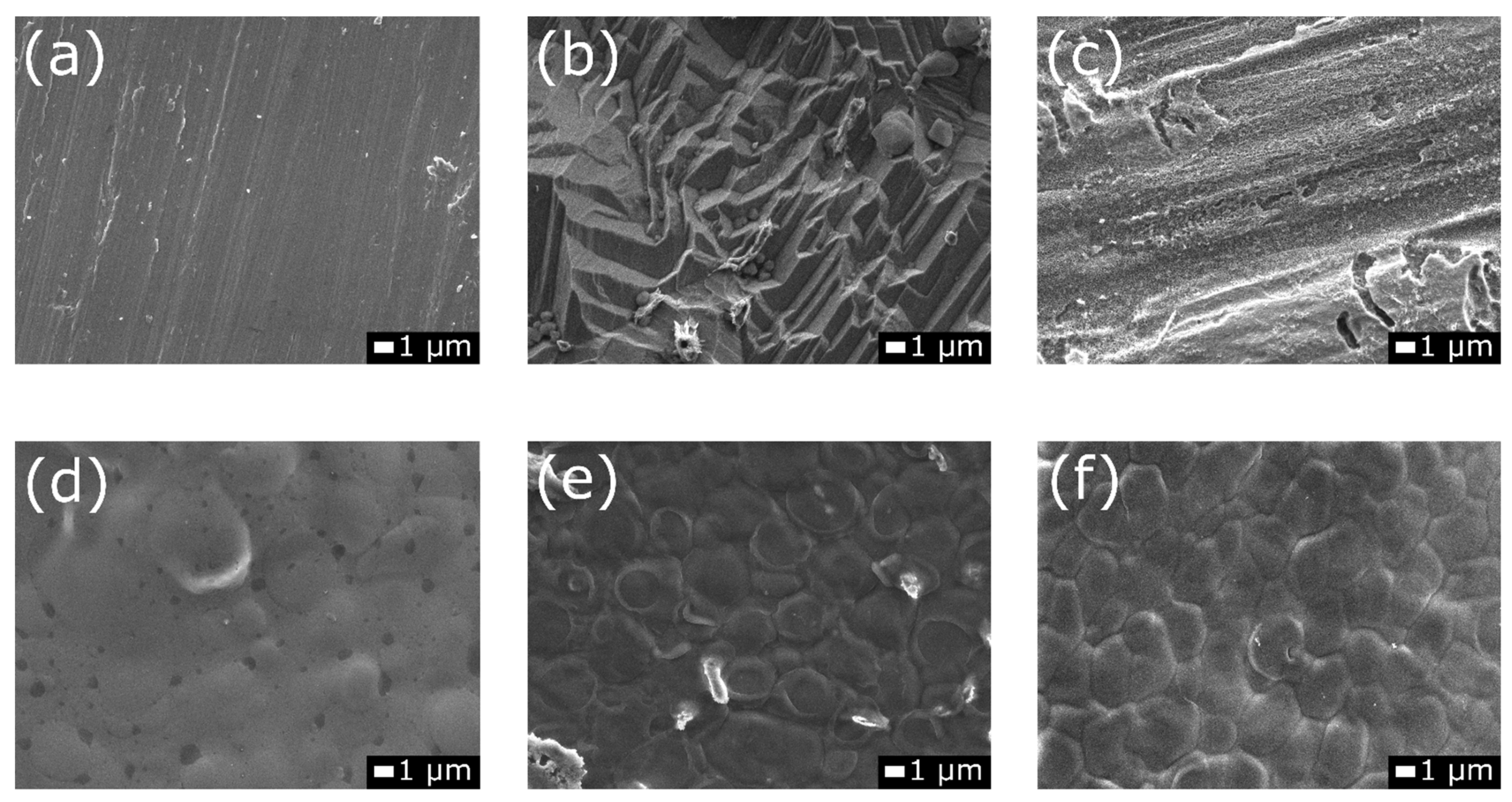 Coatings 11 01120 g009