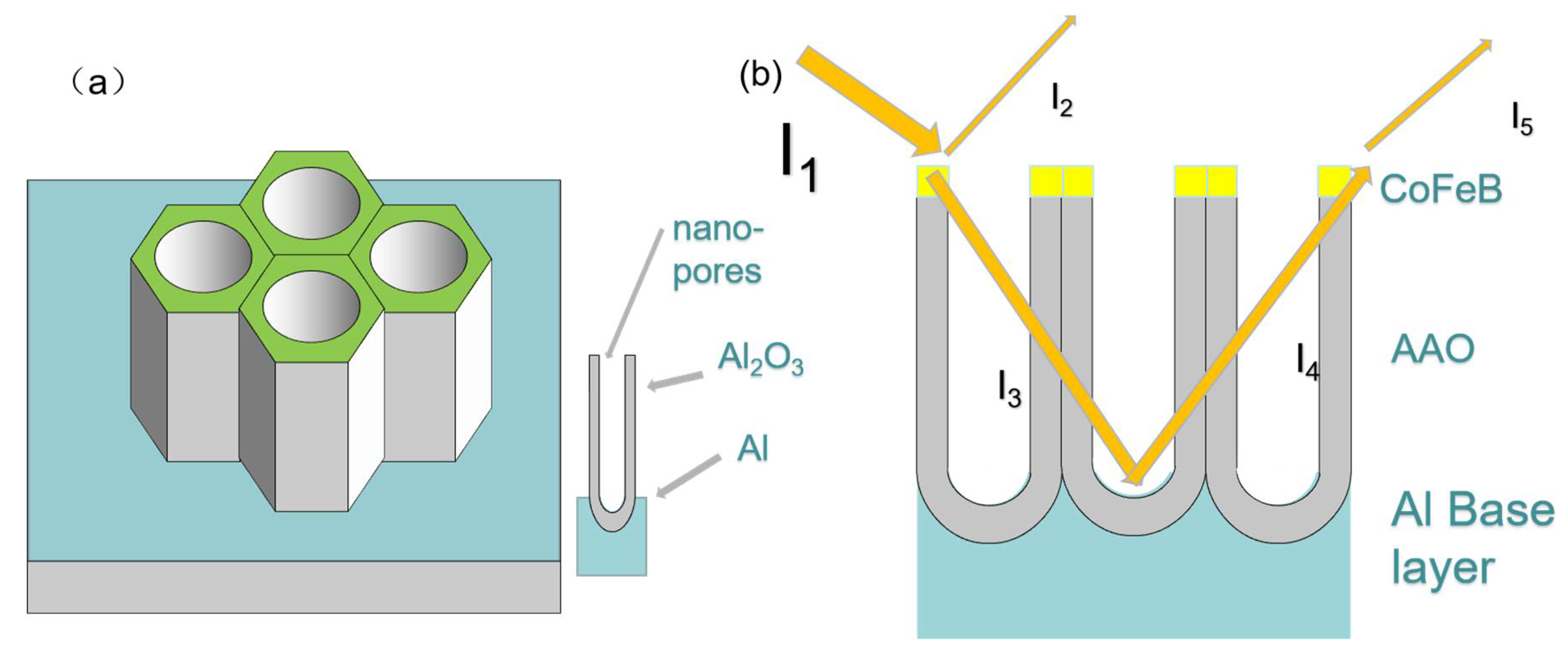 Coatings 11 01123 g001