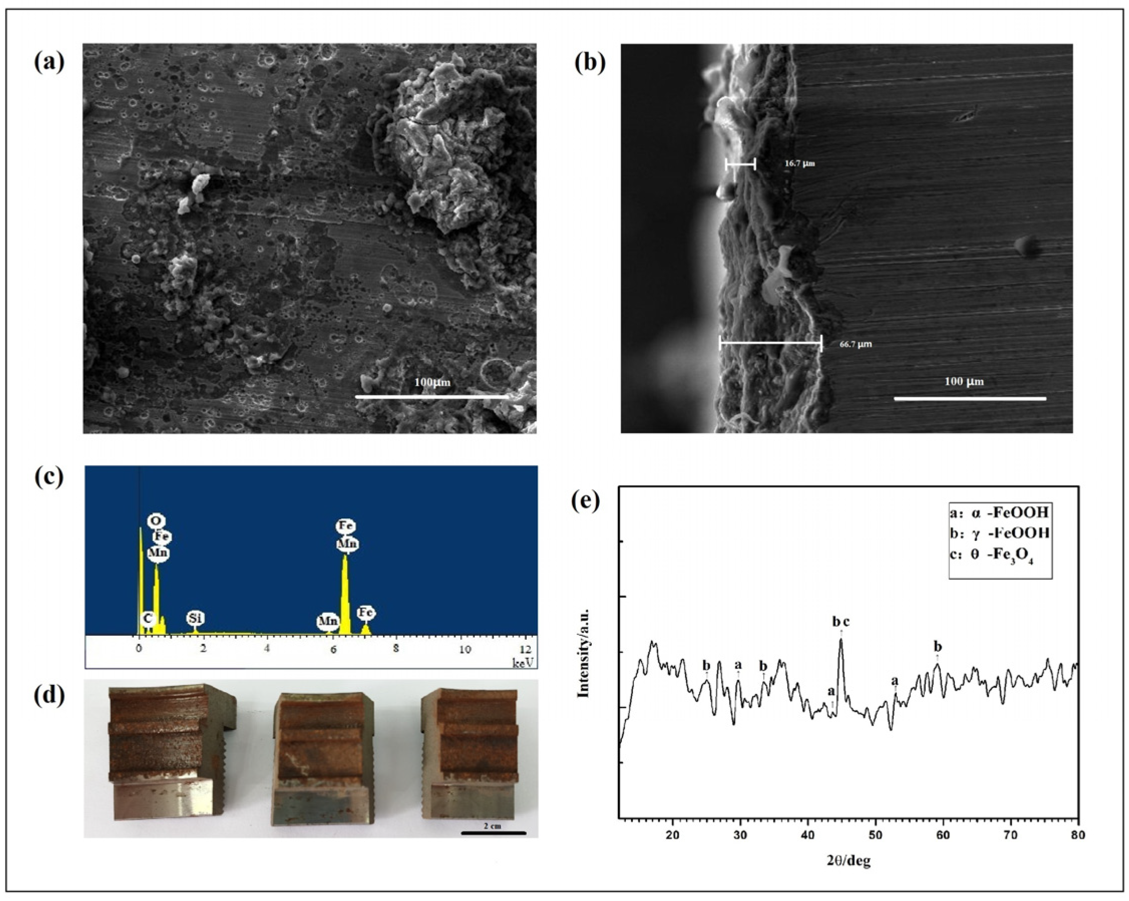 Coatings 11 01127 g001
