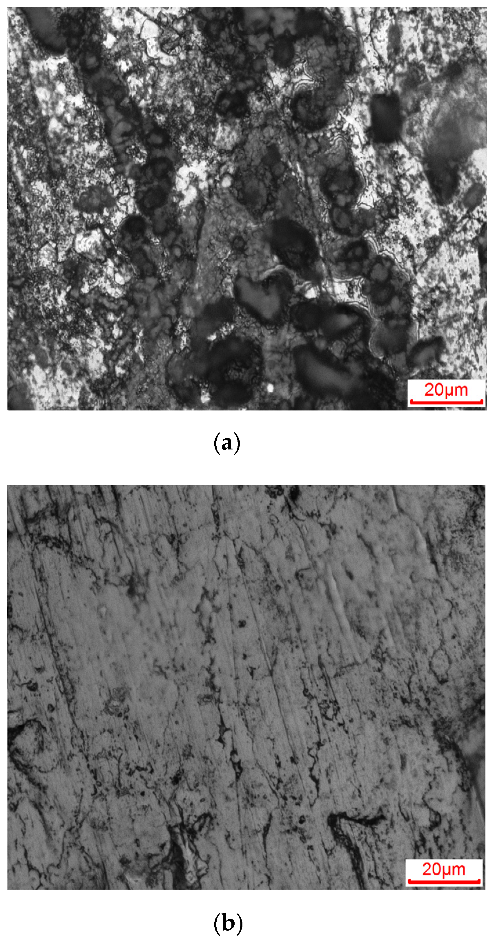 Coatings 11 01127 g006