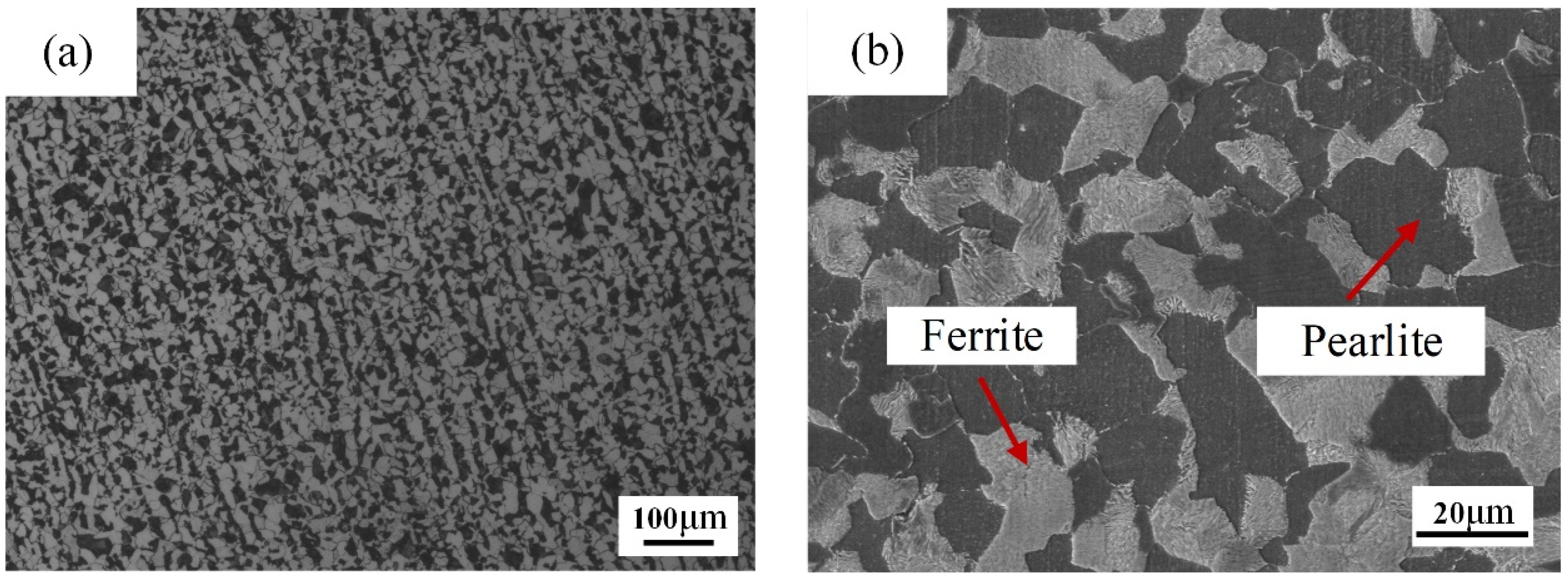 Coatings 11 01132 g006