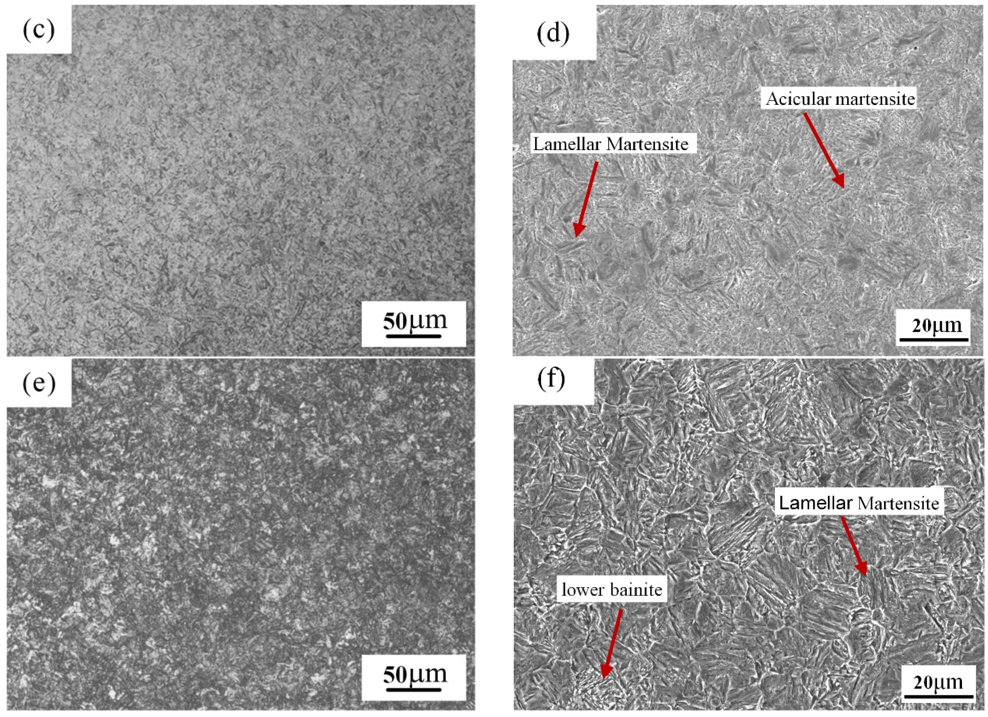 Coatings 11 01132 g008b